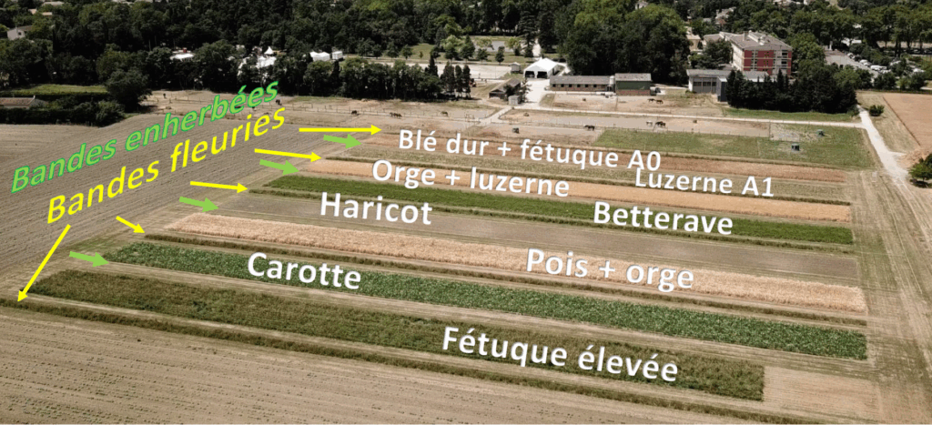 Photo du dispositif d'essai à Castelnaudary