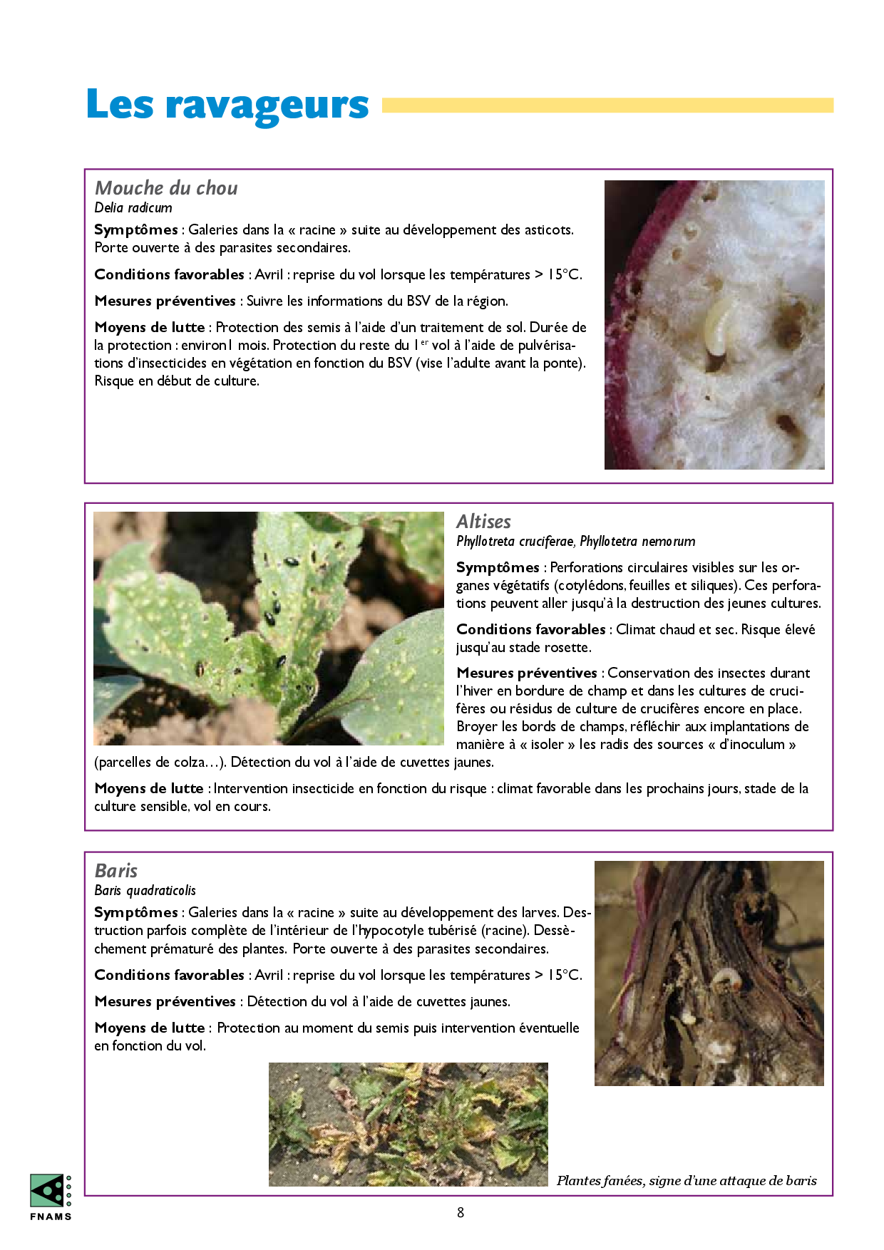 PDF page 10