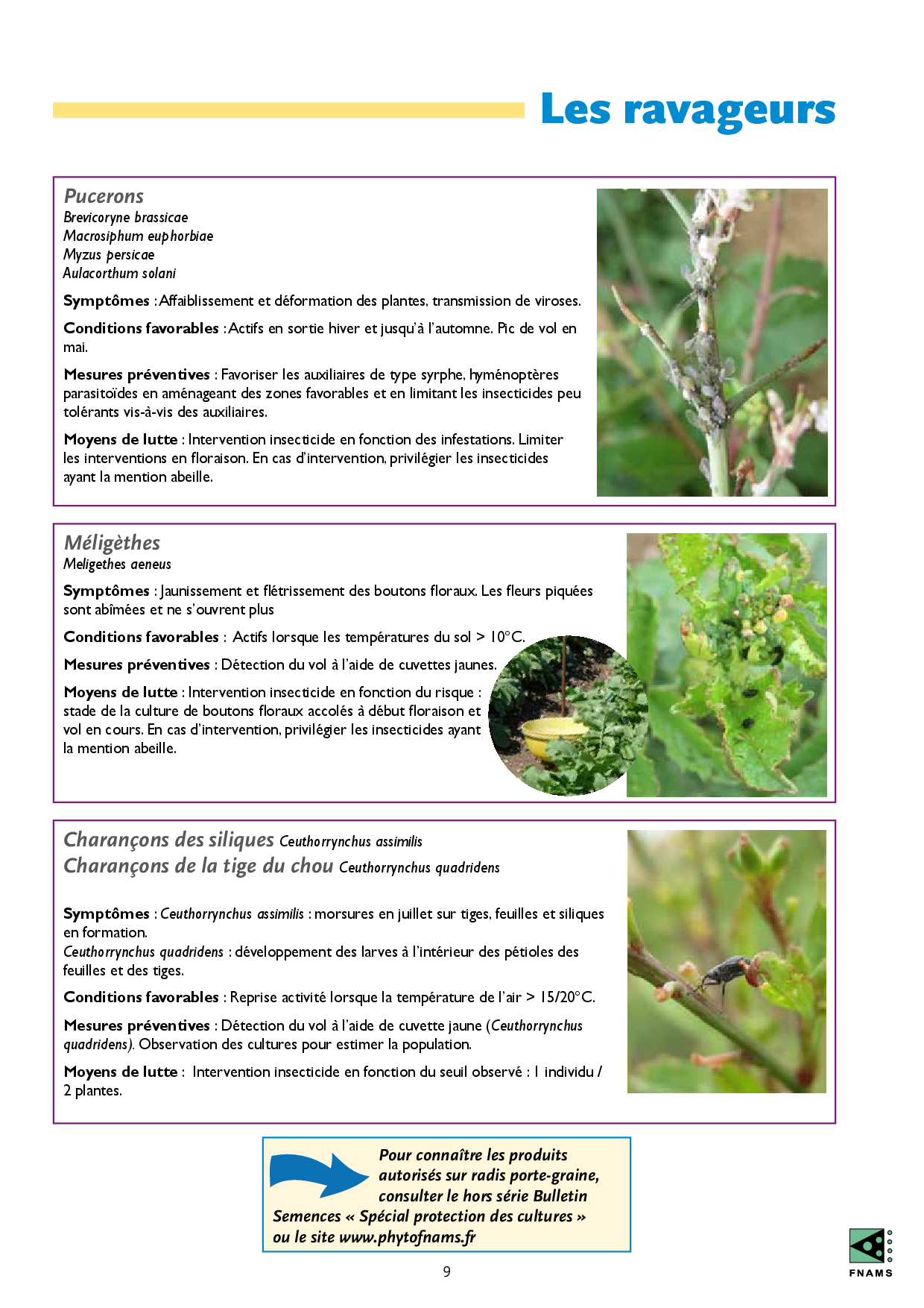 PDF page 11