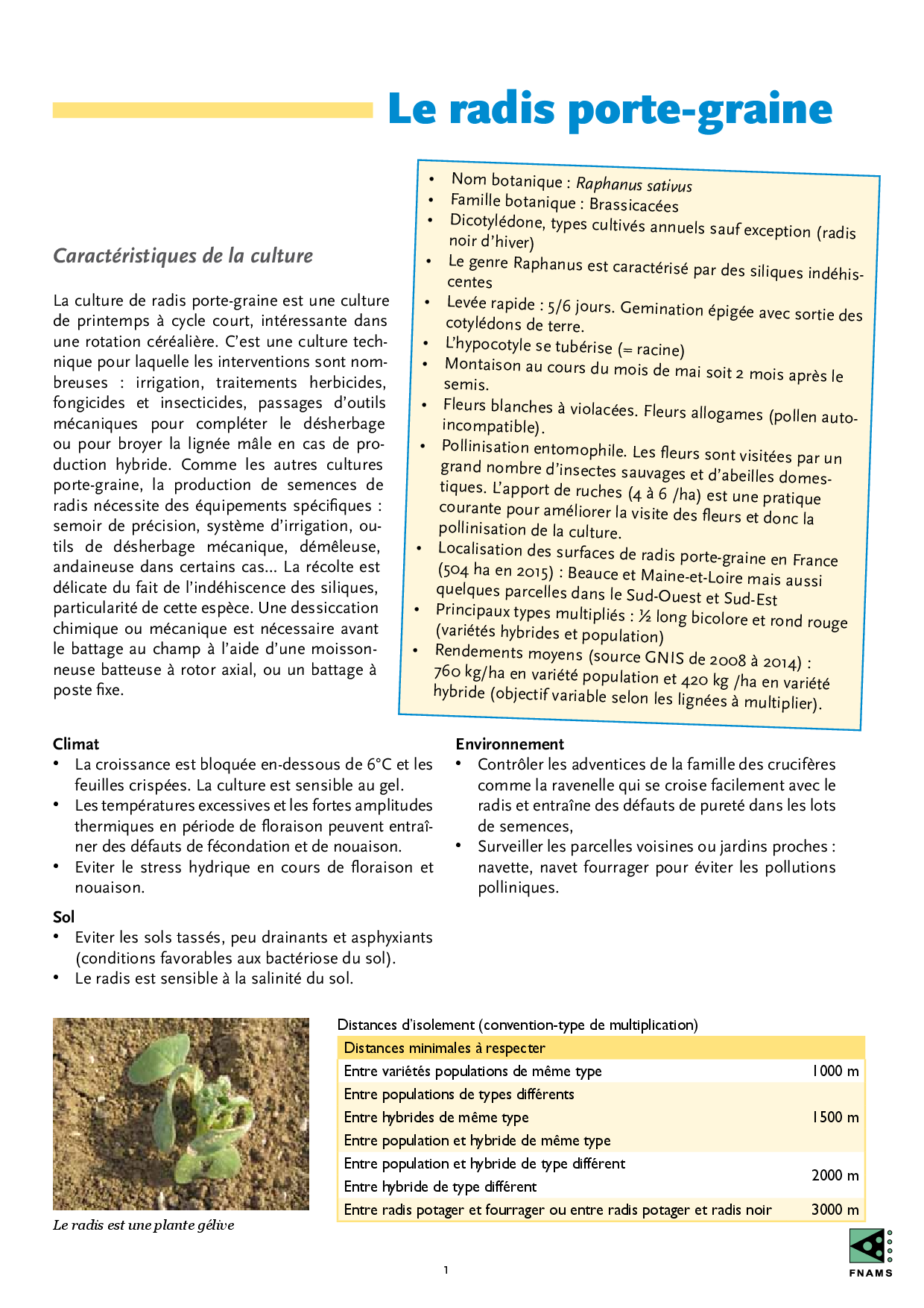 PDF page 3