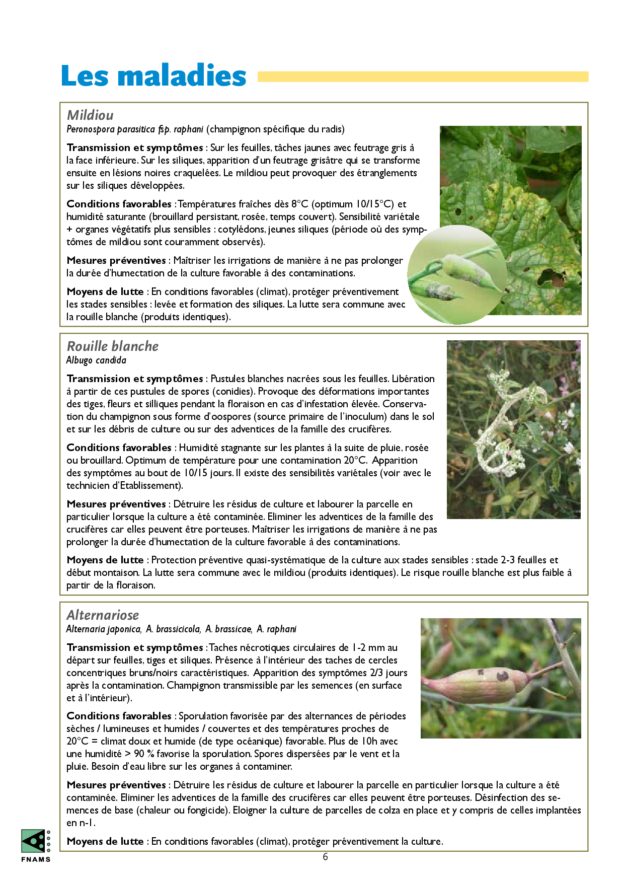 PDF page 8