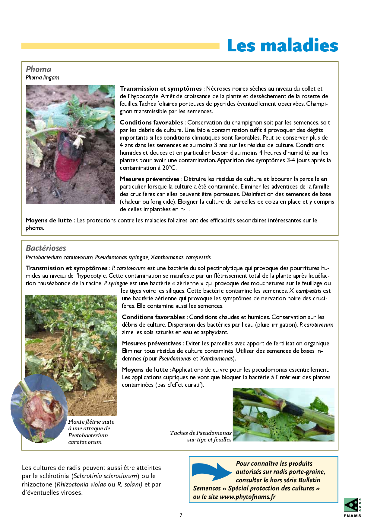 PDF page 9