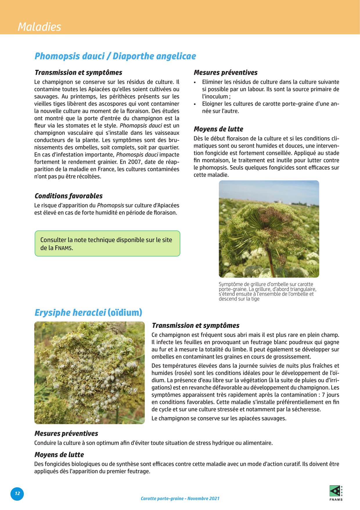 PDF page 12
