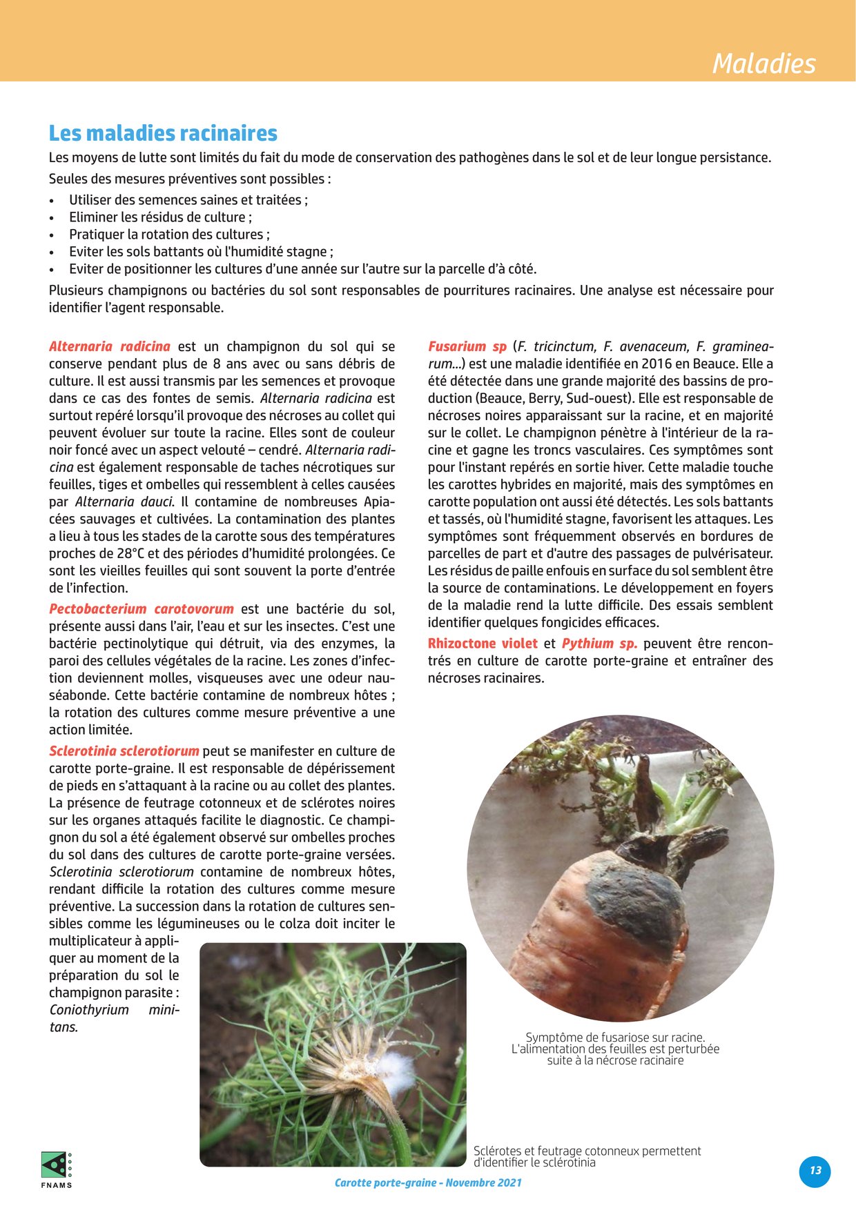 PDF page 13