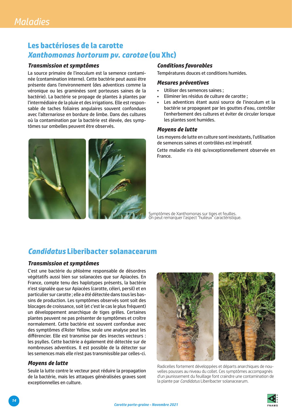 PDF page 14