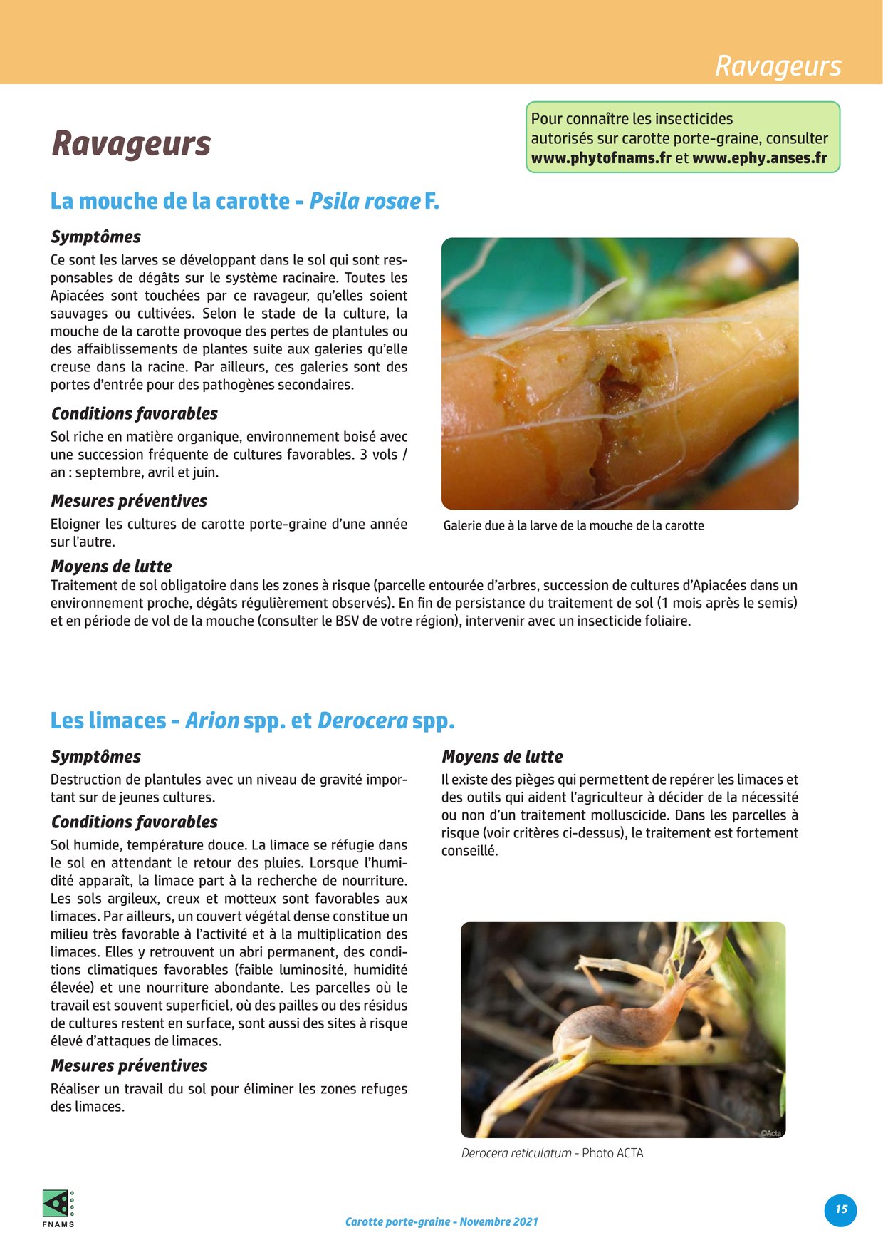 PDF page 15