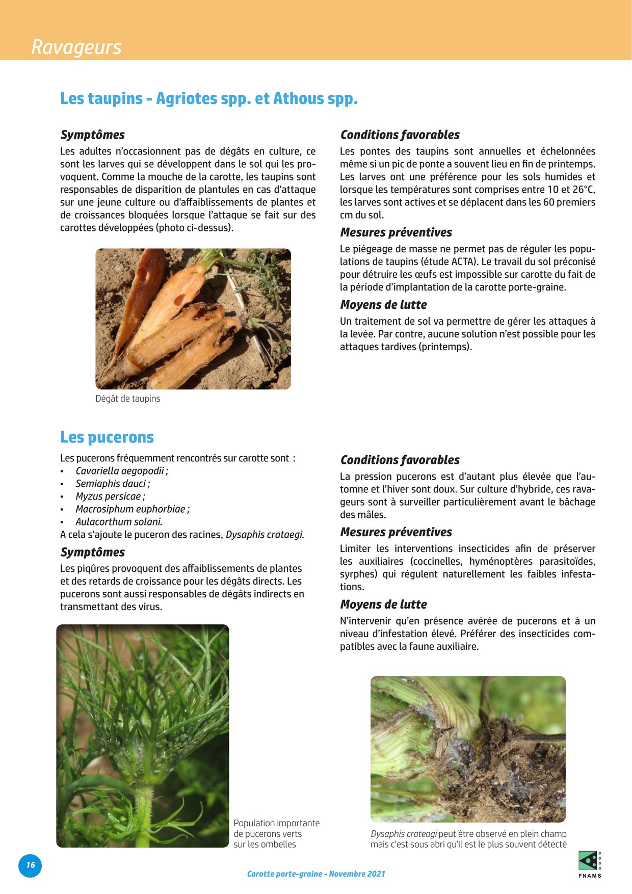 PDF page 16