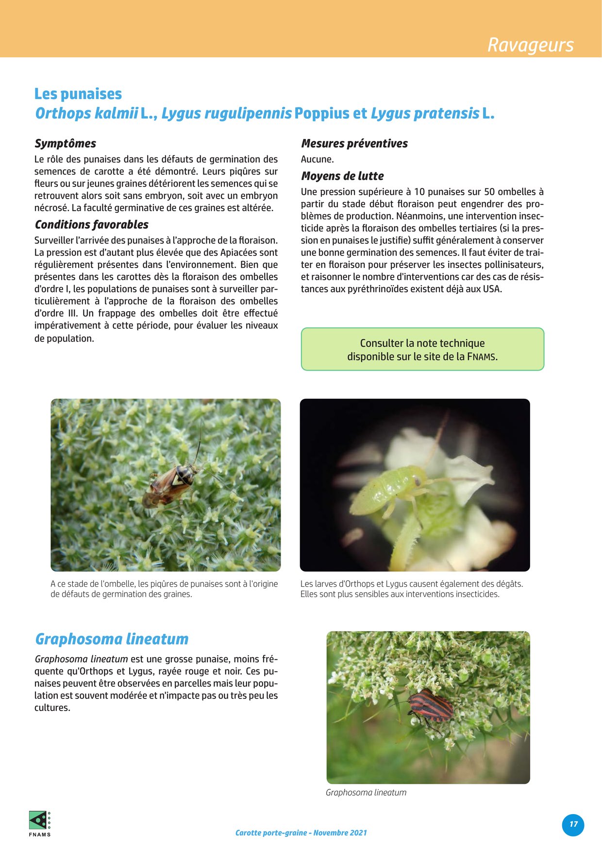 PDF page 17