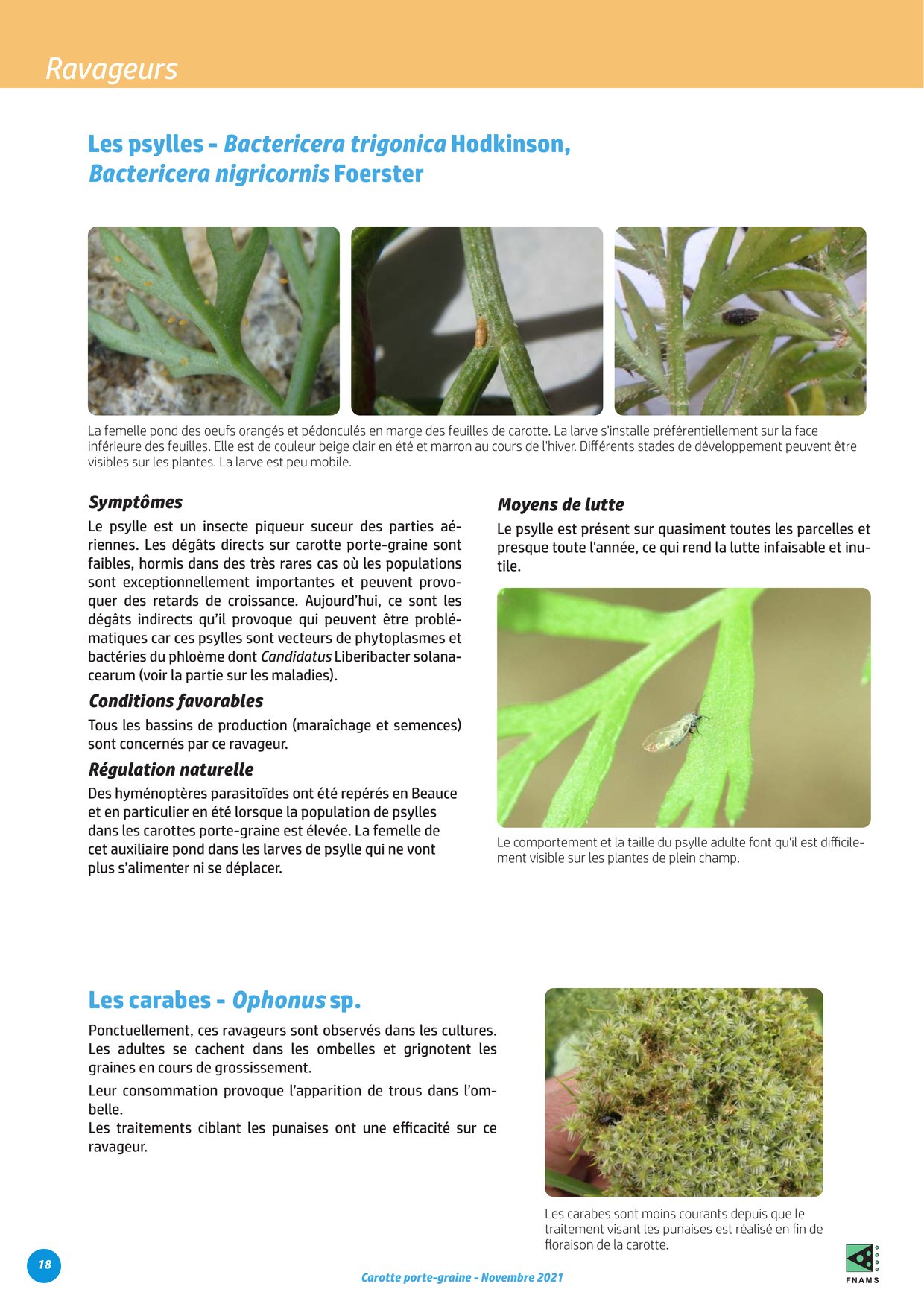 PDF page 18