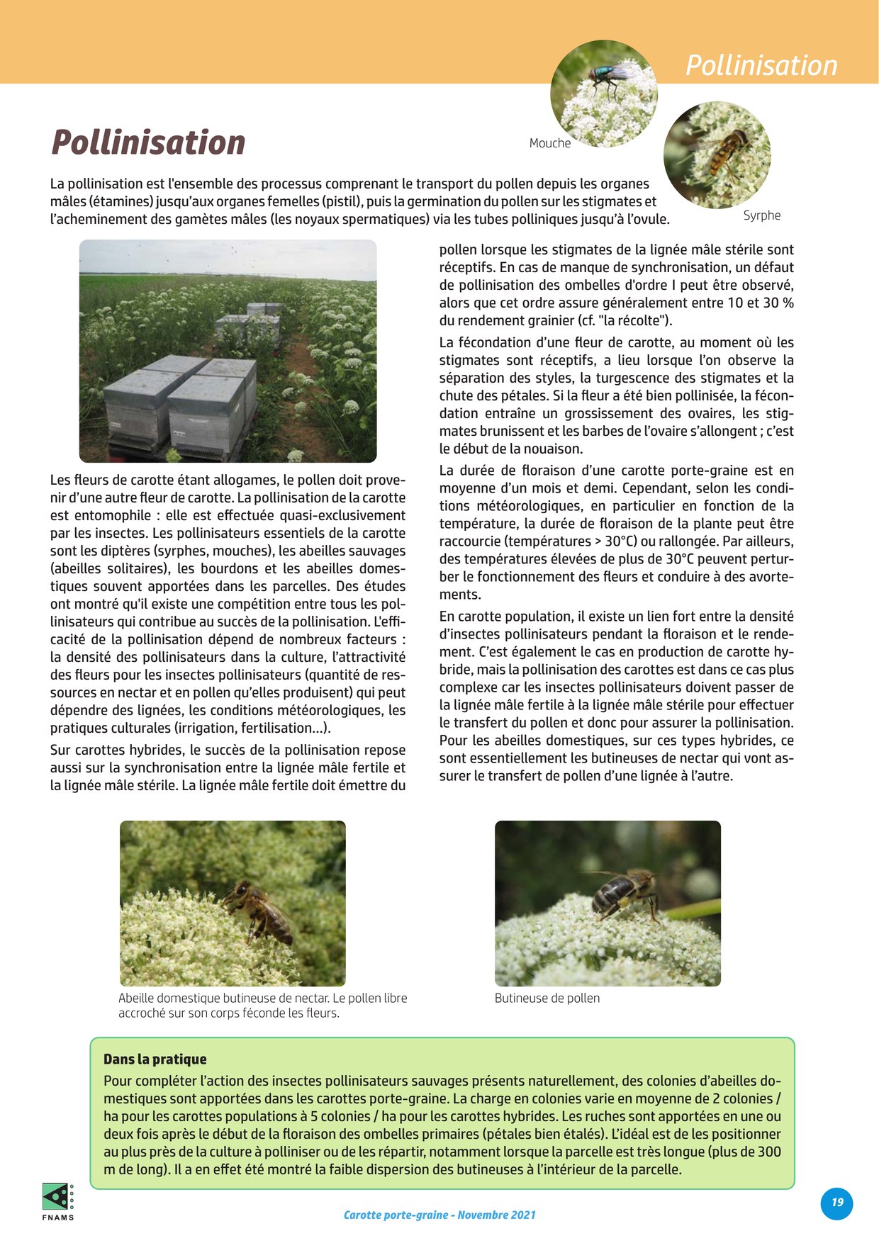PDF page 19