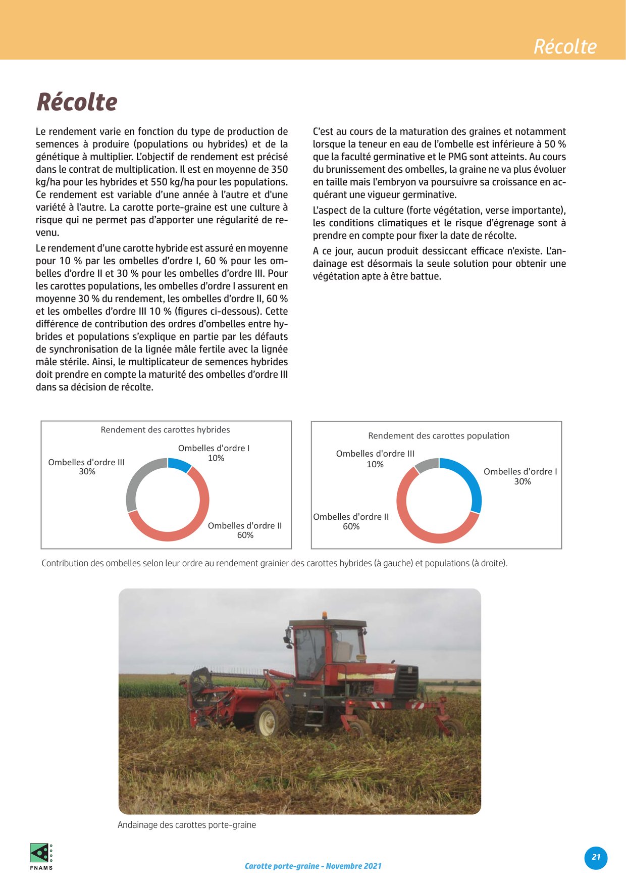 PDF page 21