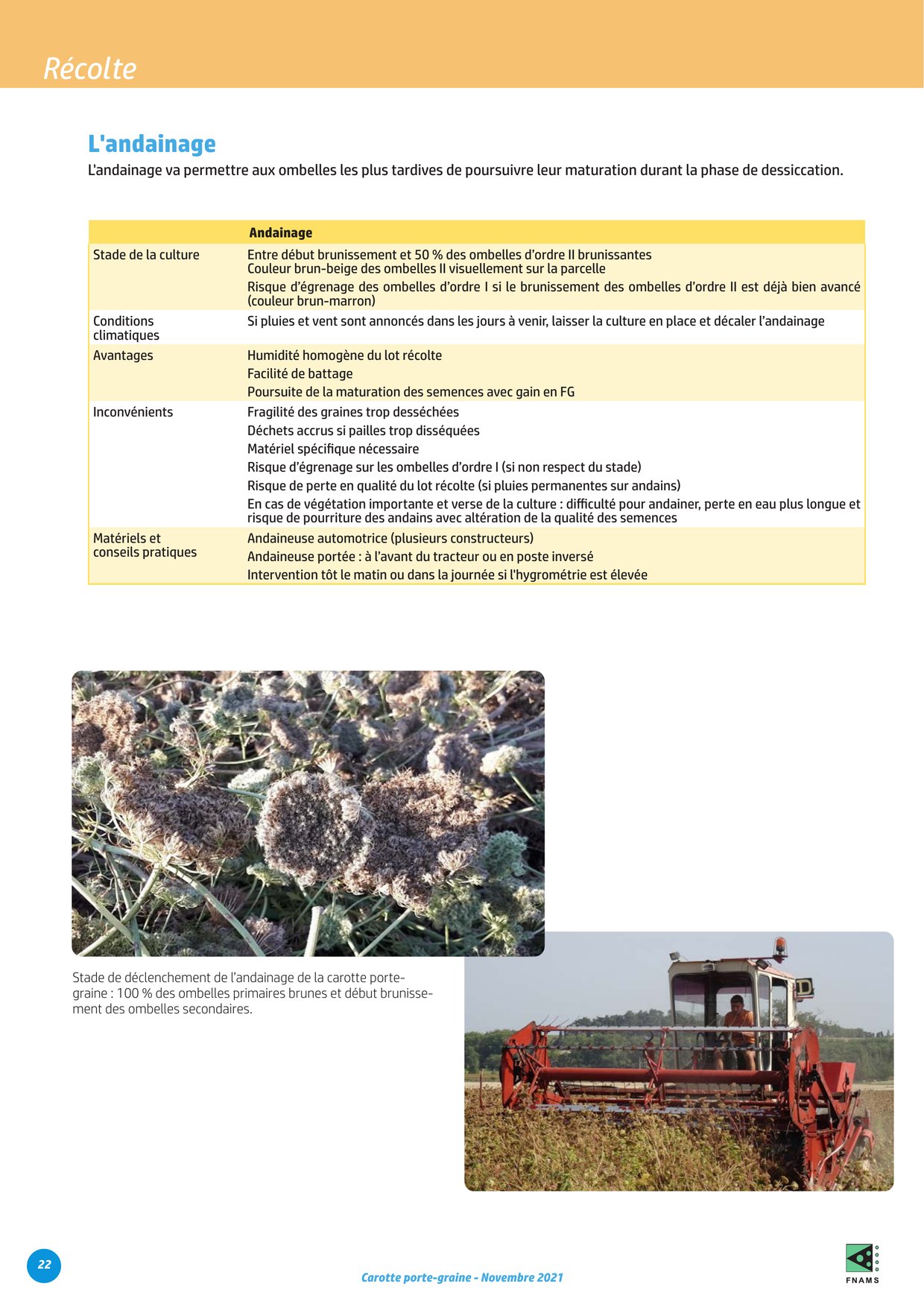 PDF page 22