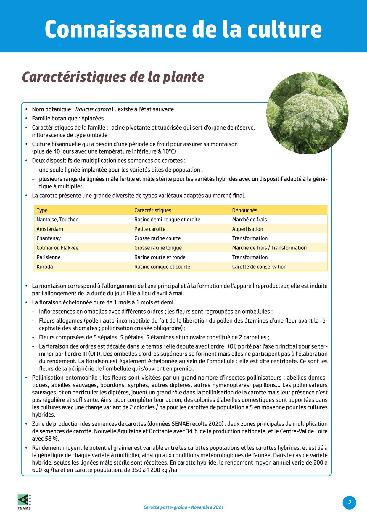 PDF page 3