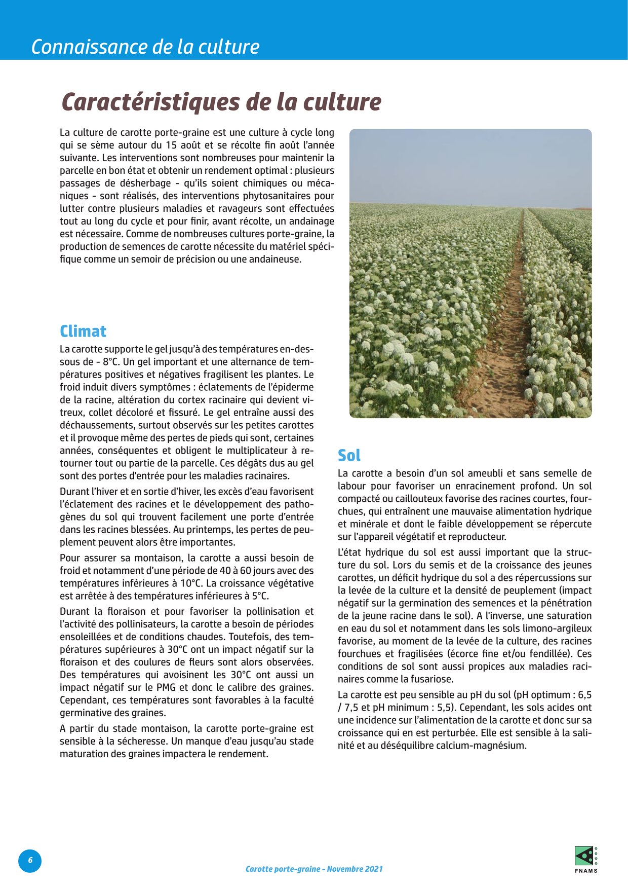 PDF page 6