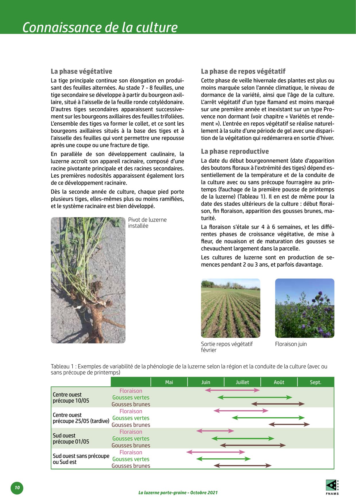 PDF page 10