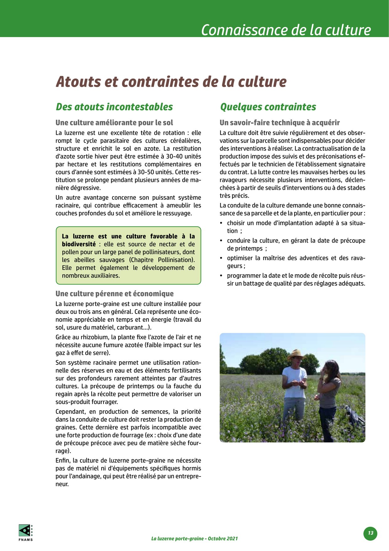 PDF page 13