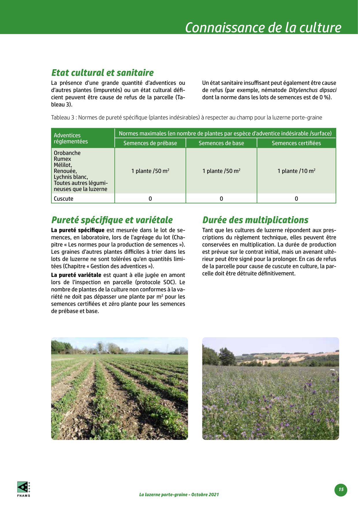PDF page 15