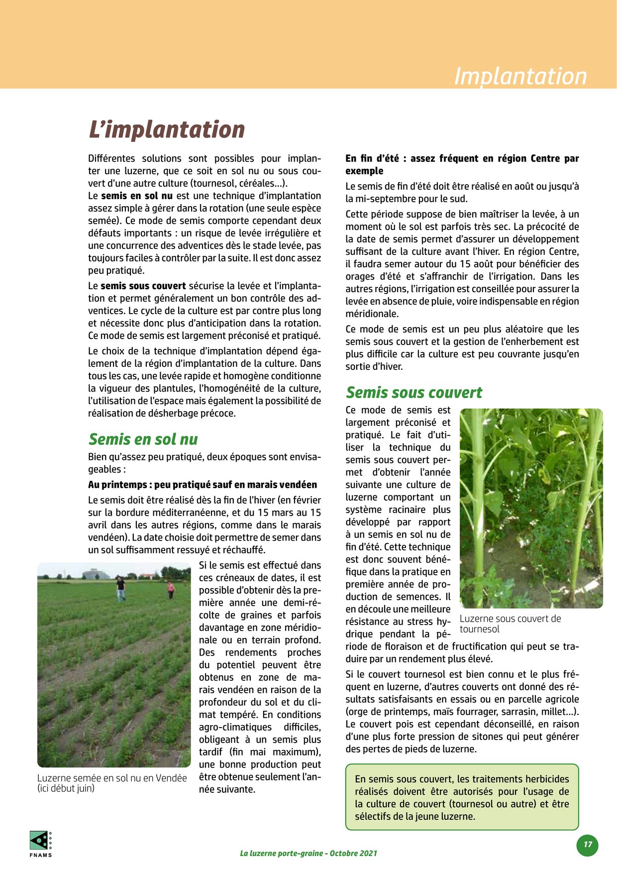 PDF page 17