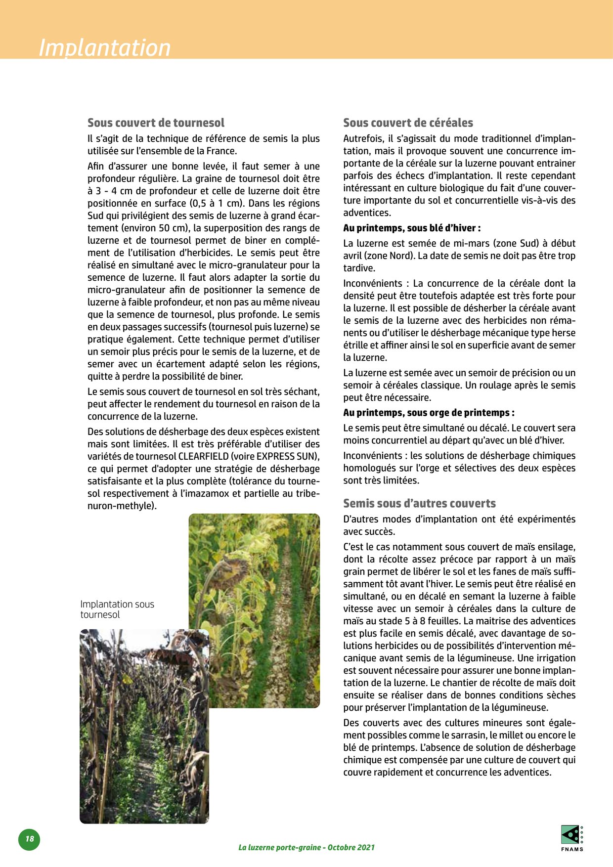 PDF page 18