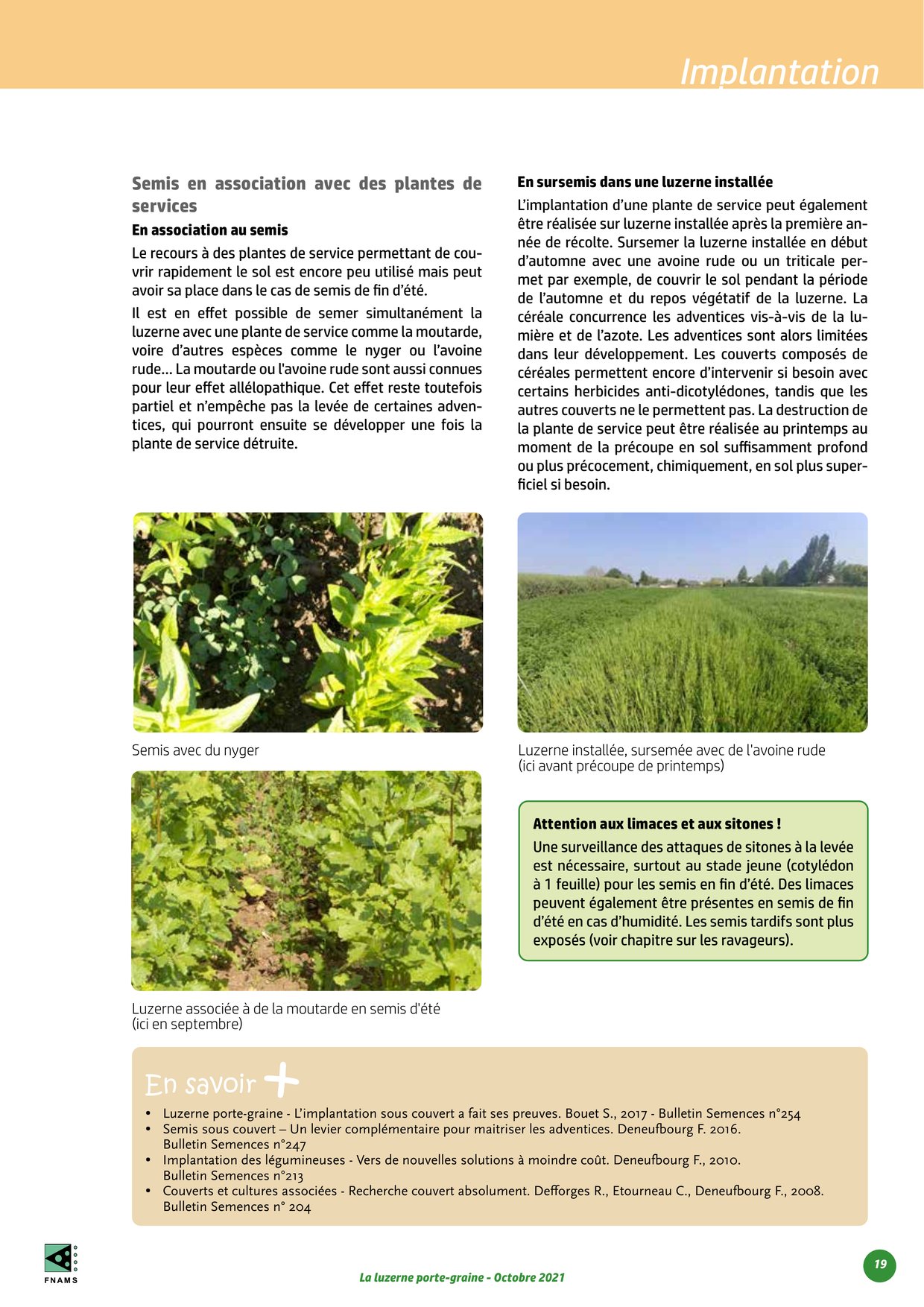 PDF page 19
