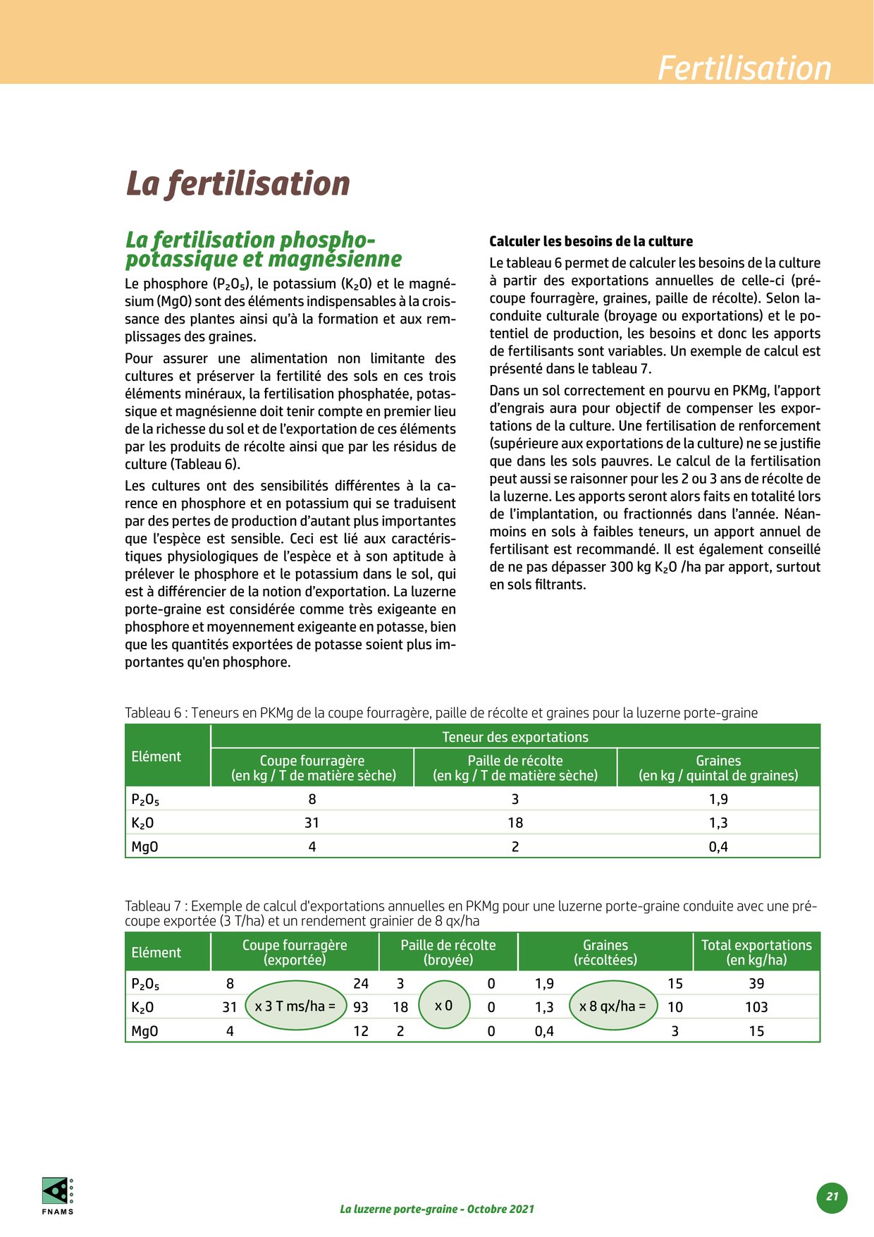 PDF page 21