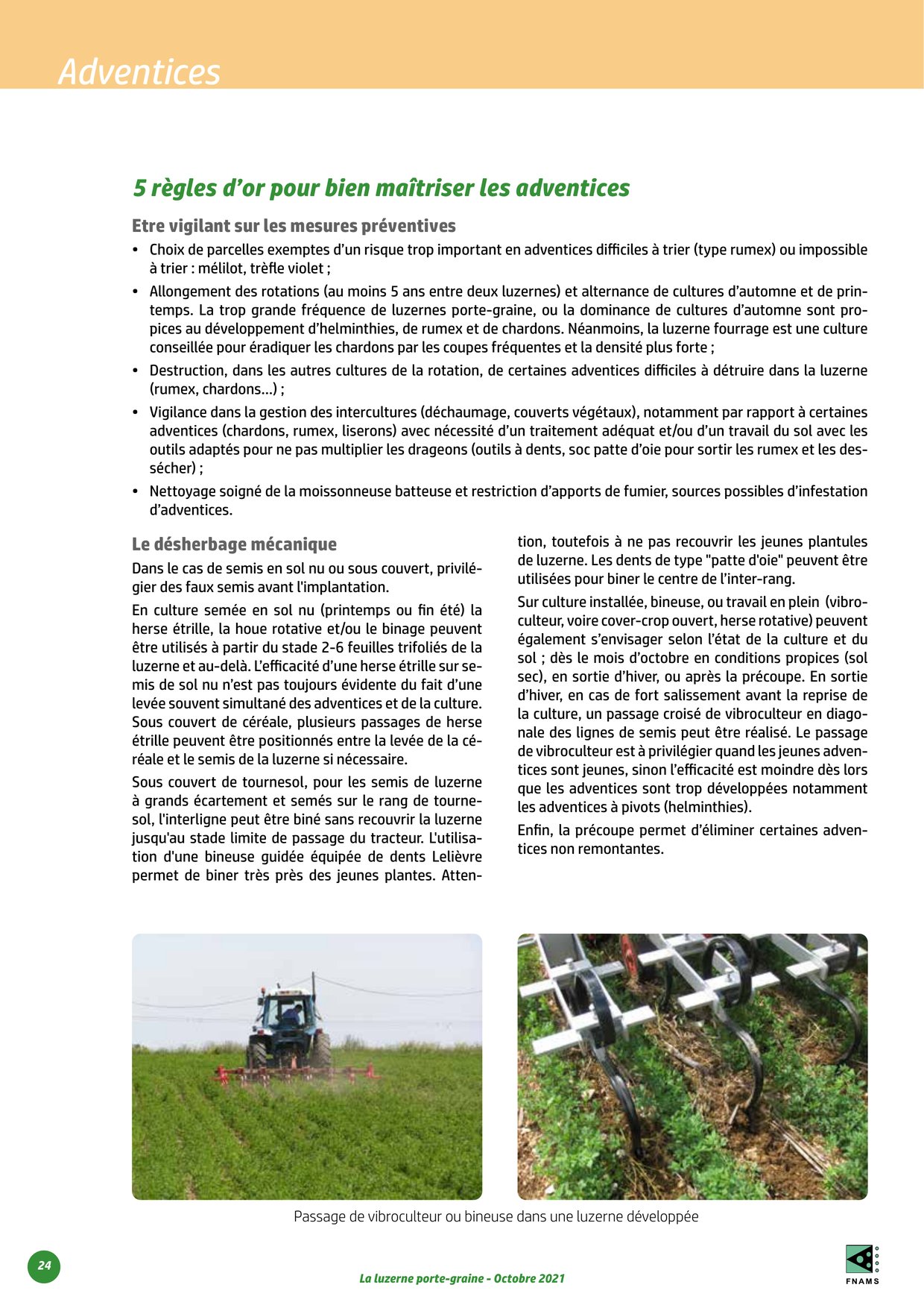 PDF page 24
