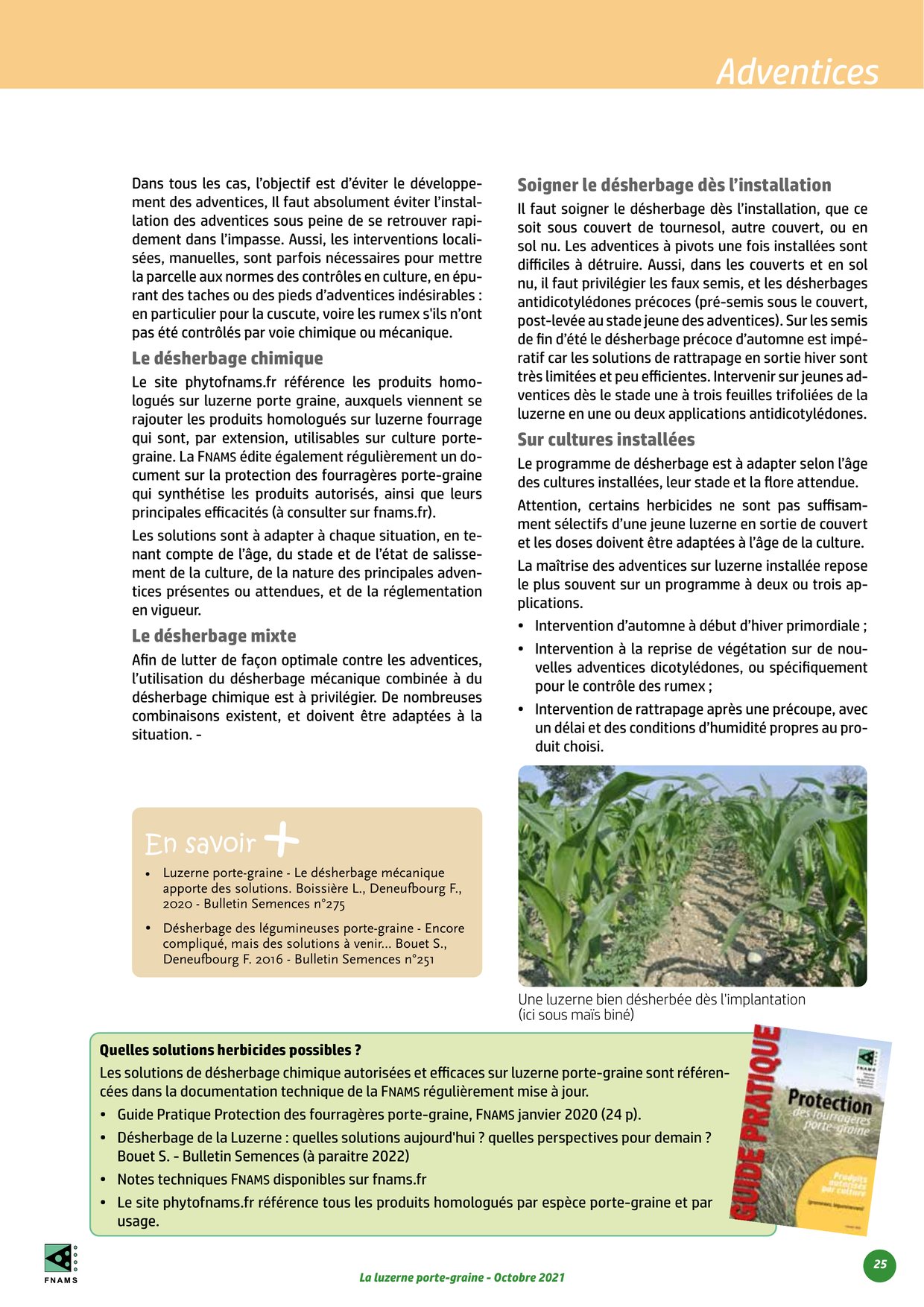 PDF page 25