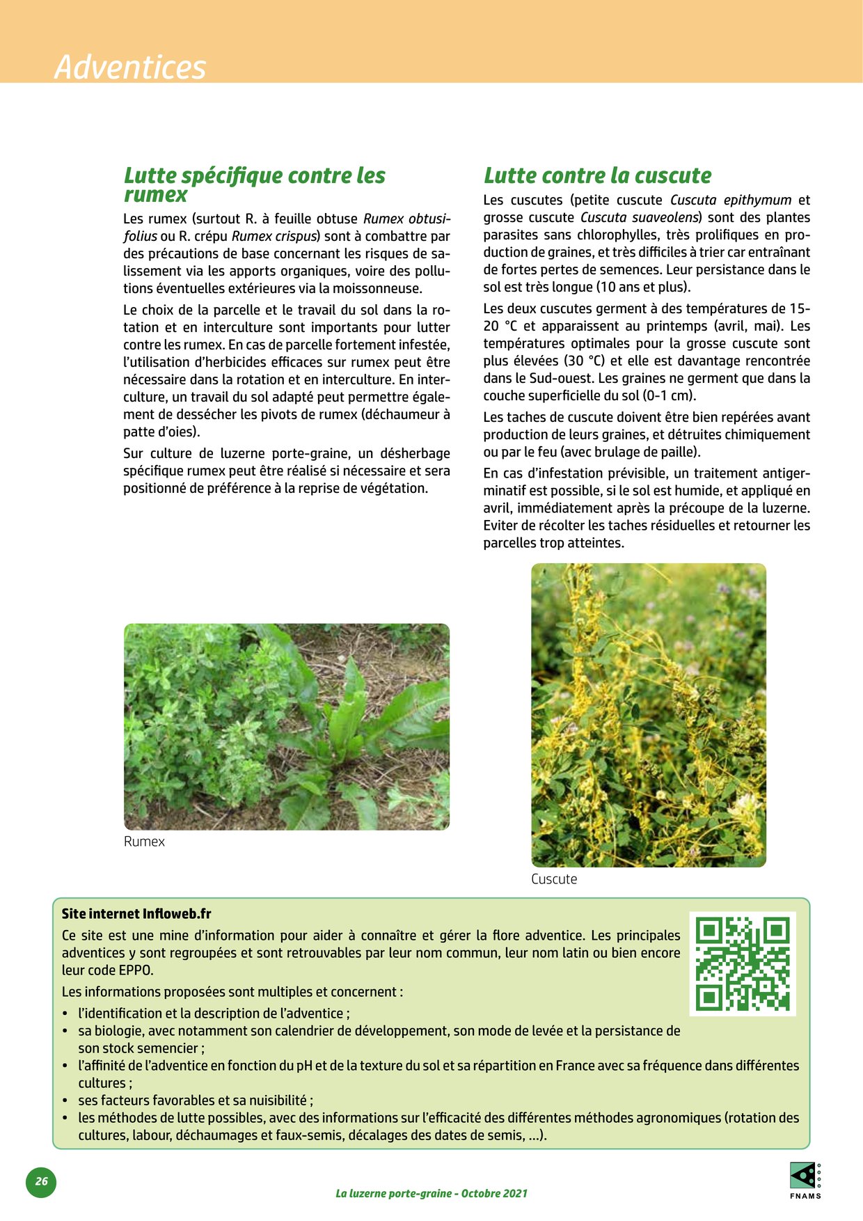 PDF page 26