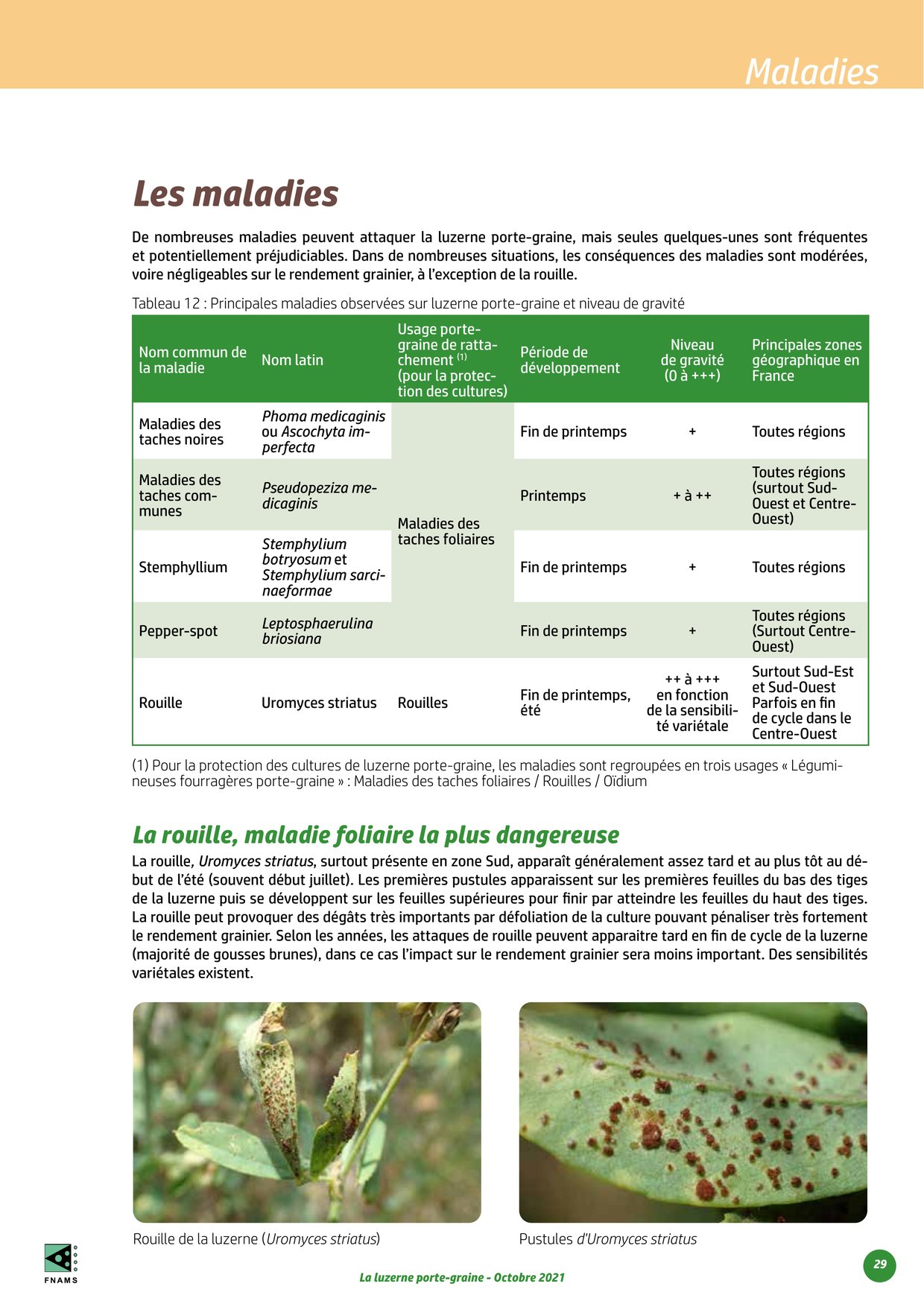 PDF page 29