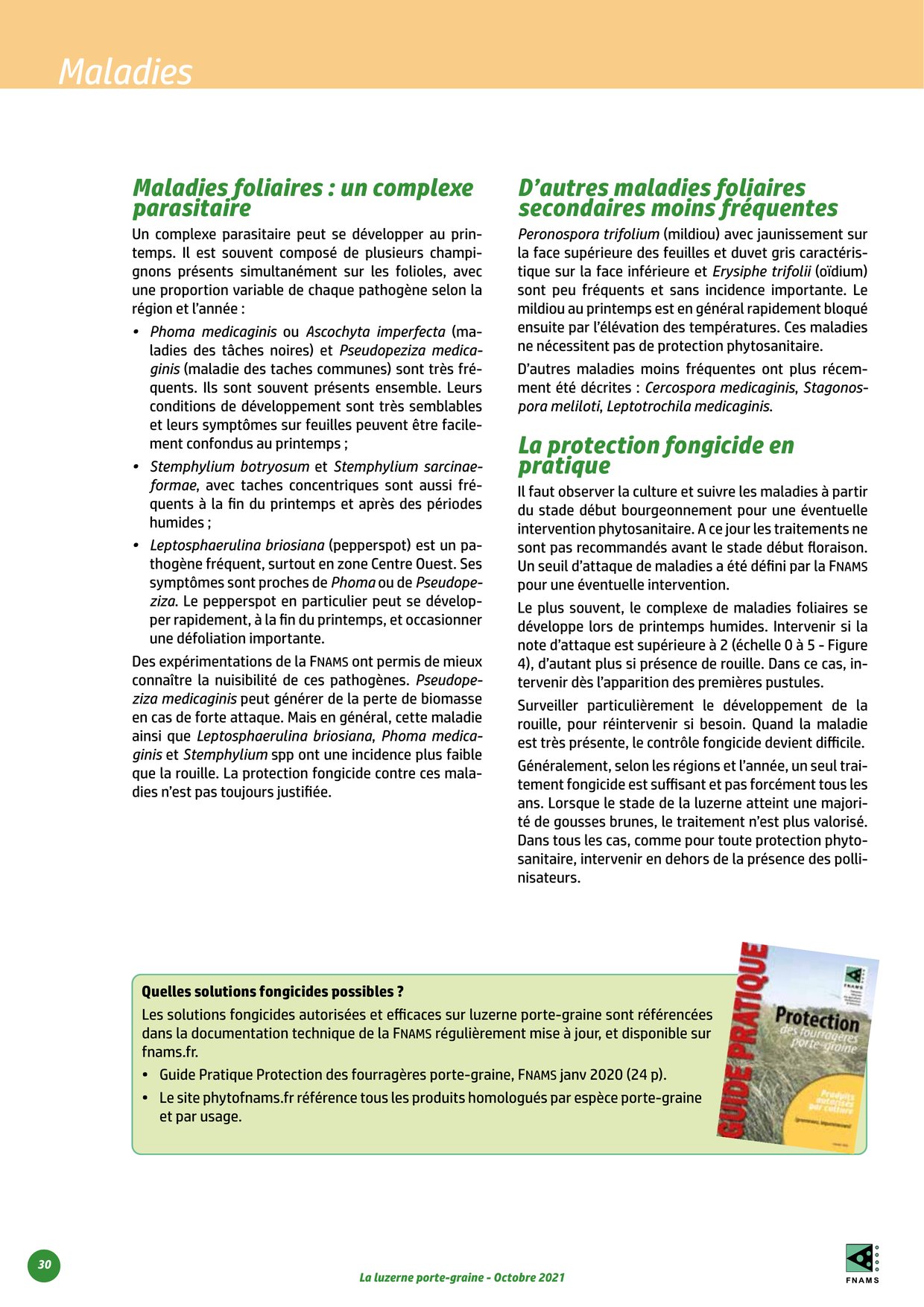 PDF page 30