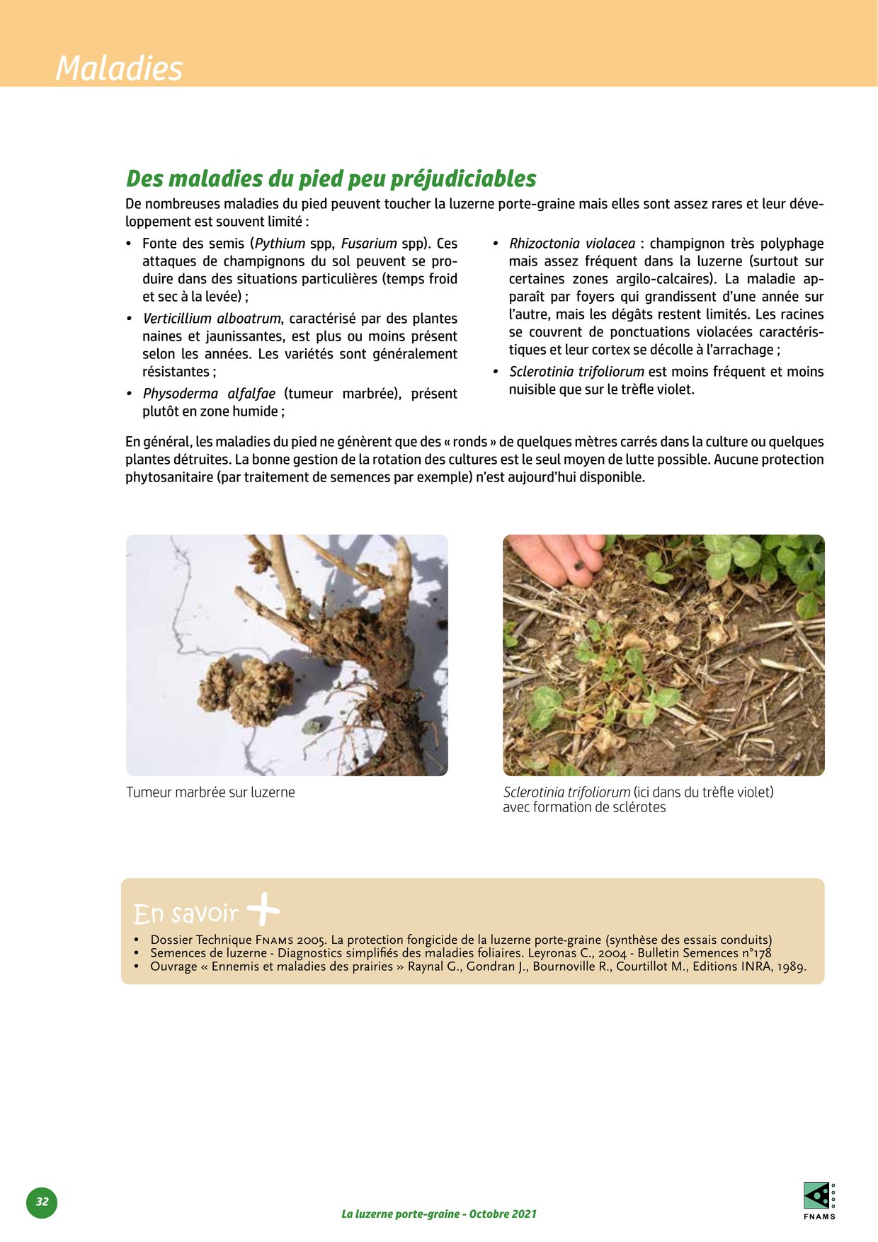 PDF page 32