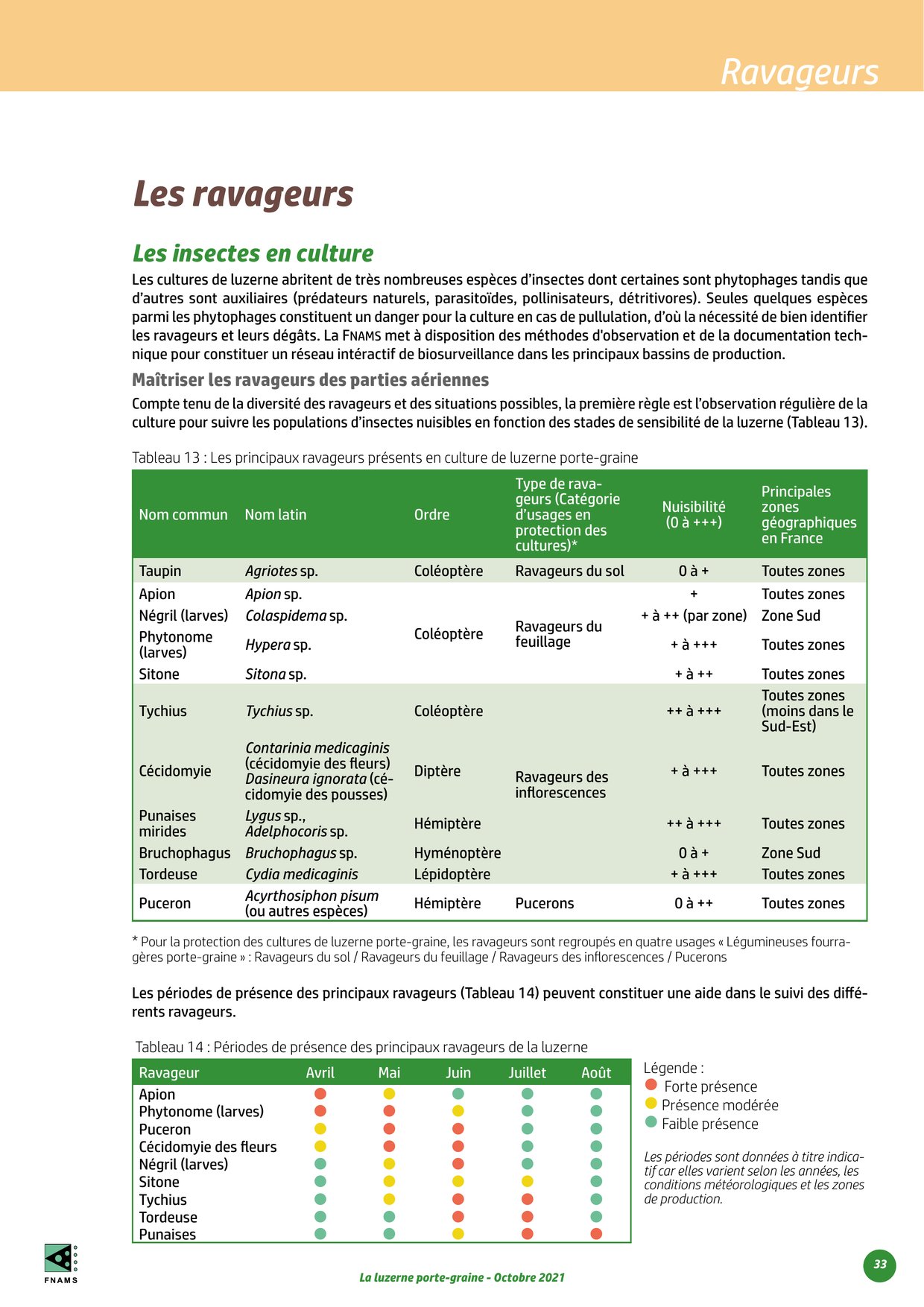 PDF page 33