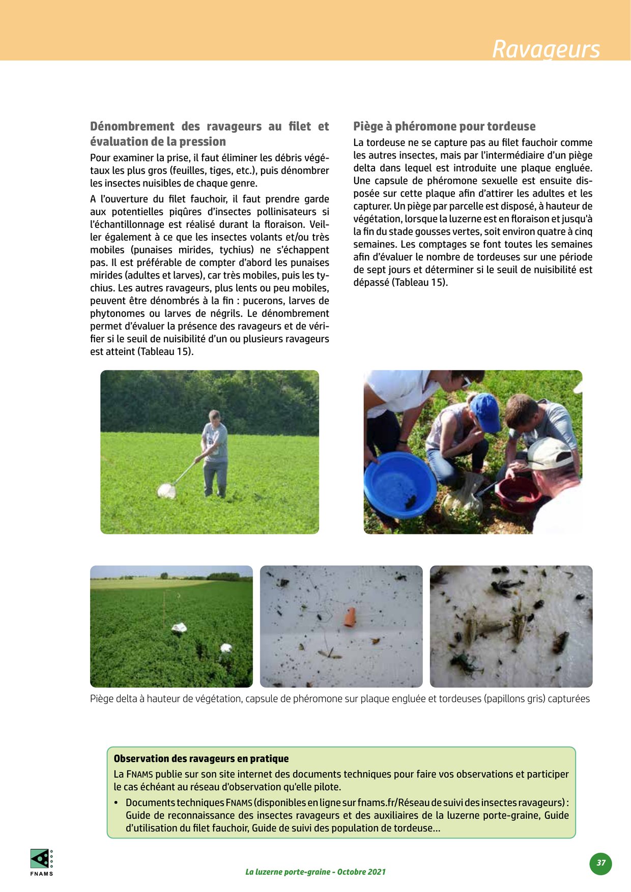 PDF page 37
