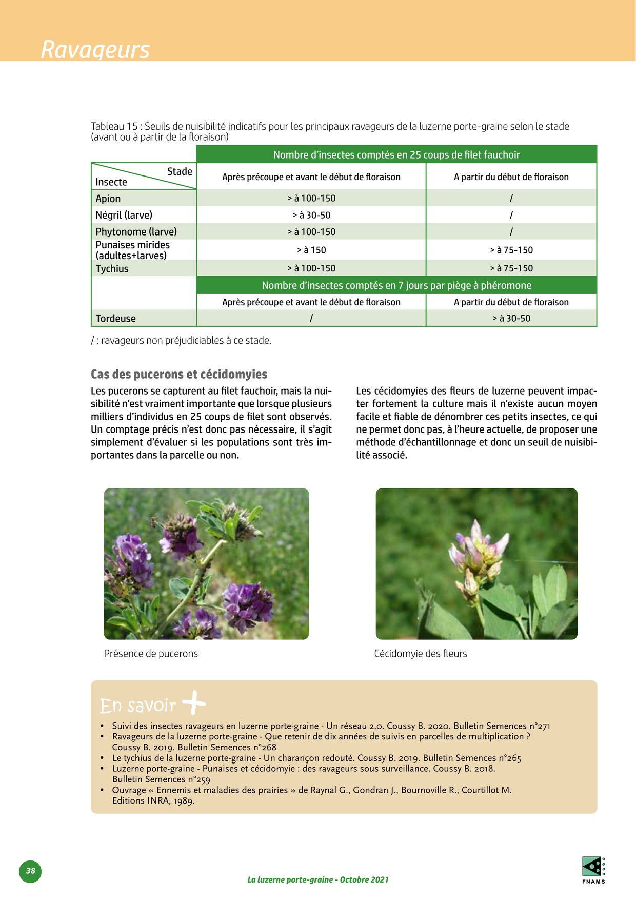 PDF page 38