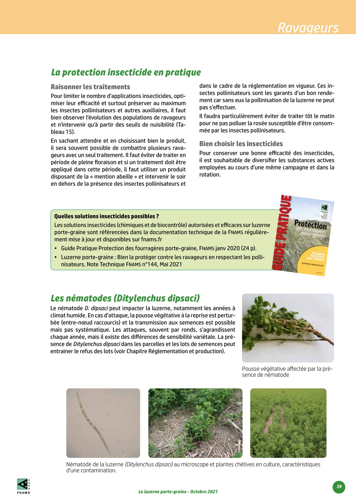 PDF page 39