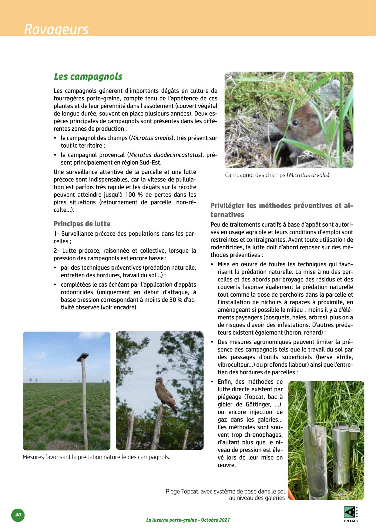 PDF page 40