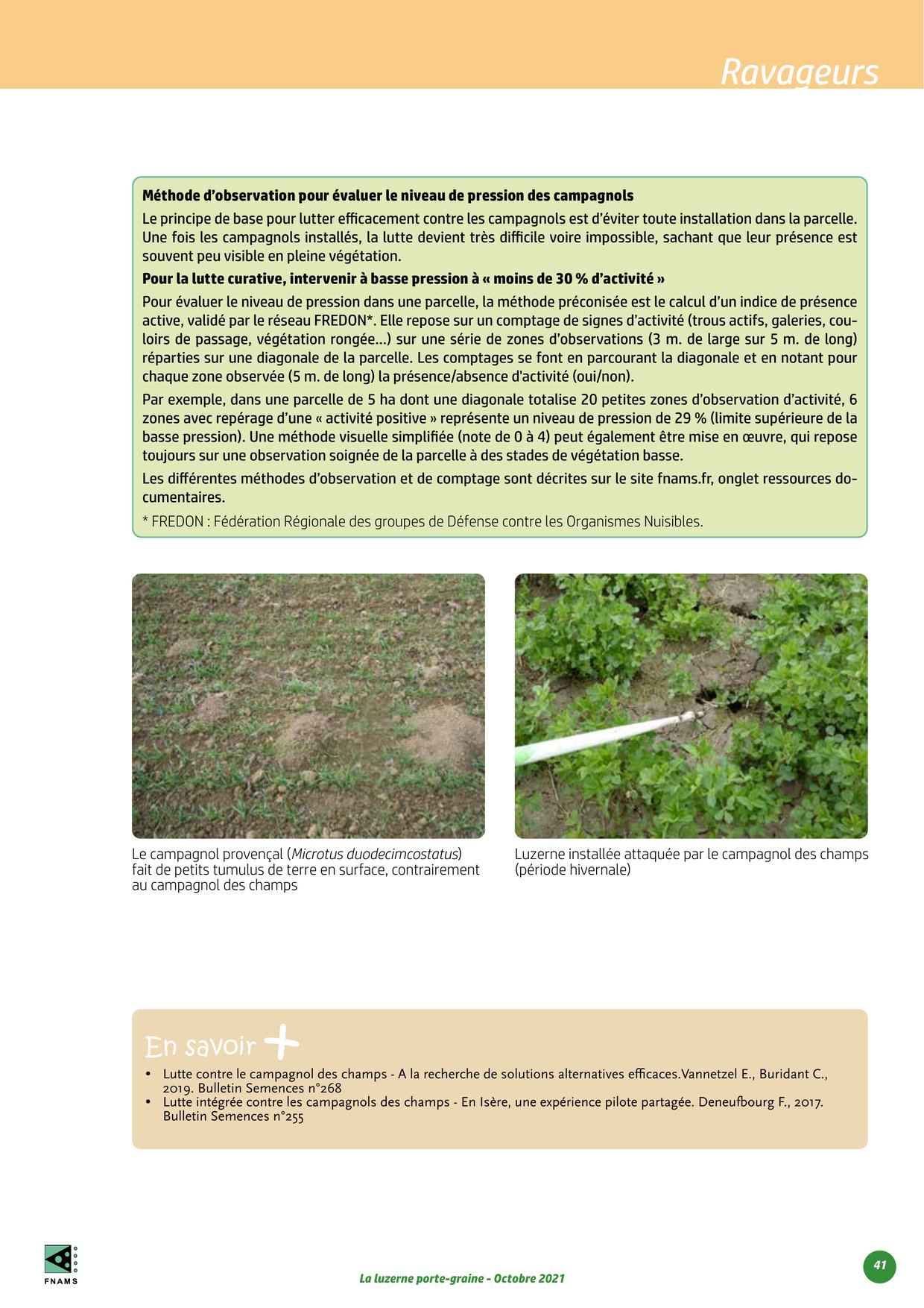 PDF page 41