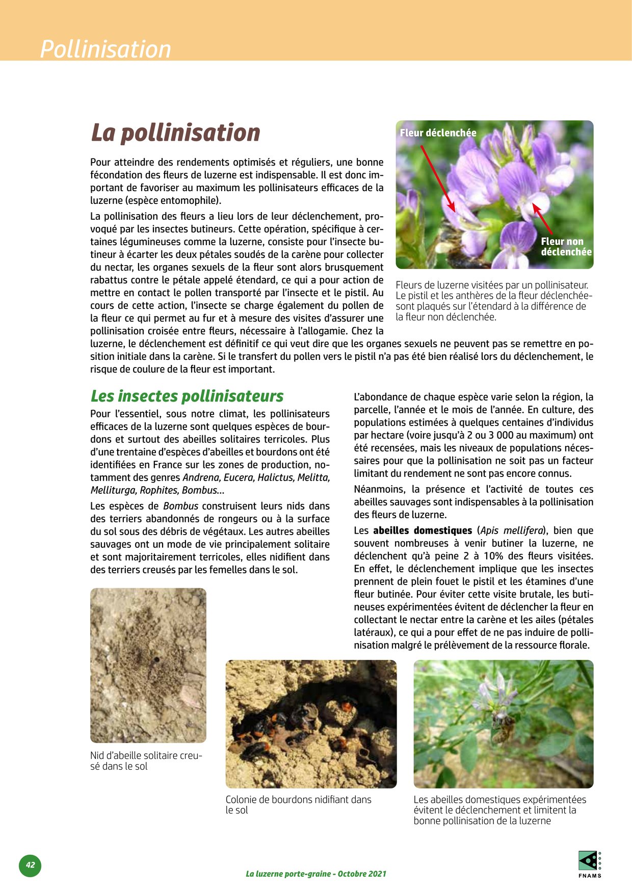 PDF page 42