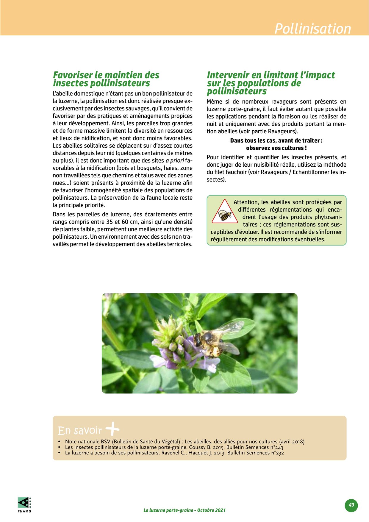 PDF page 43
