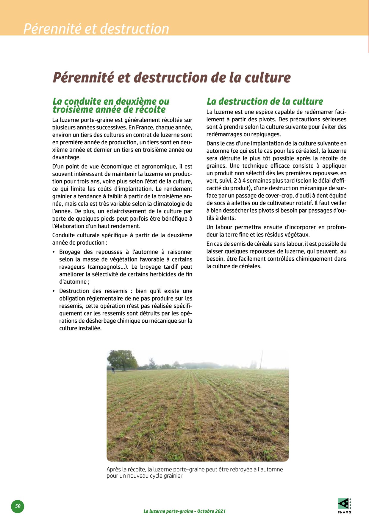 PDF page 50