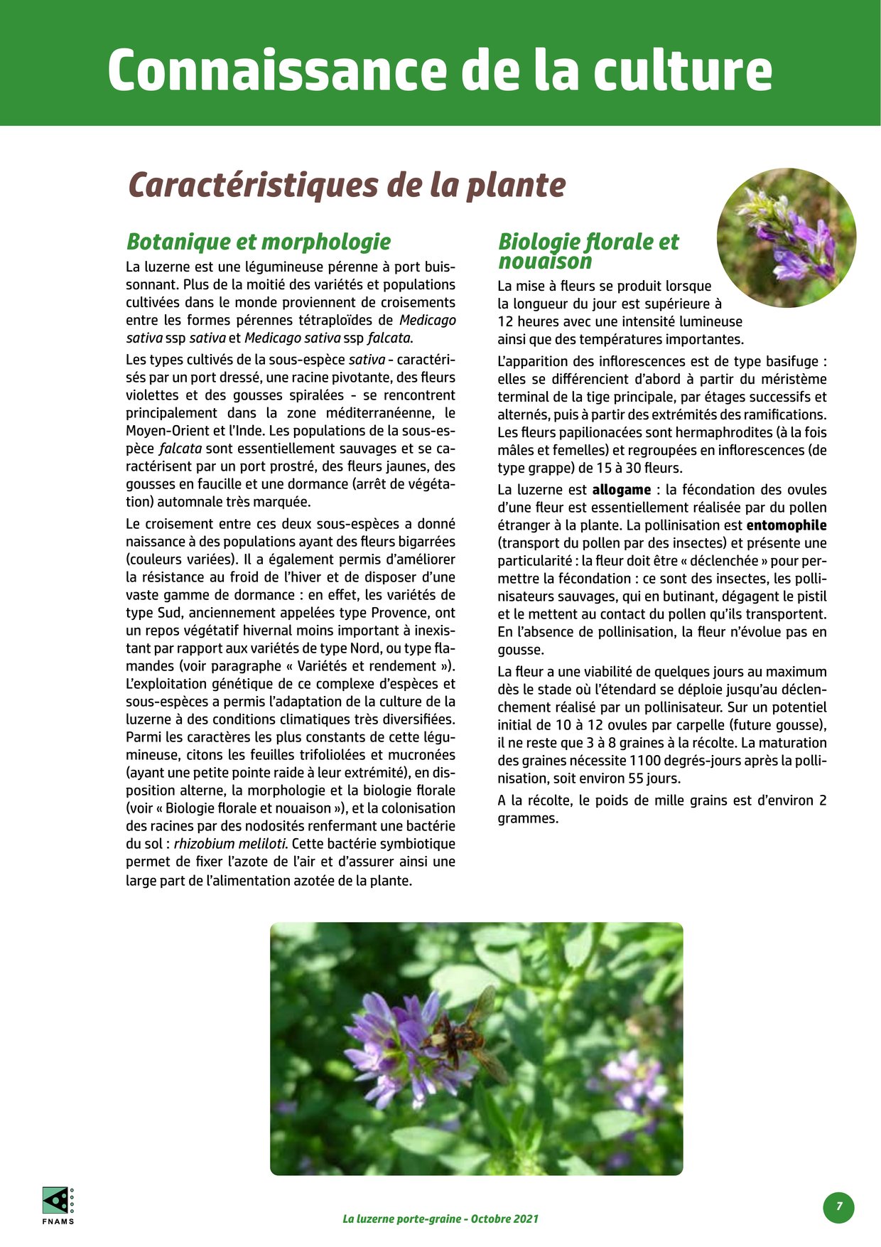 PDF page 7