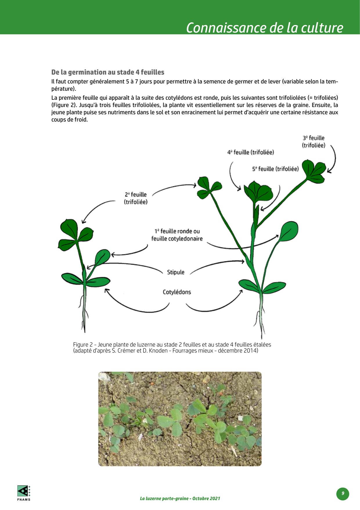 PDF page 9