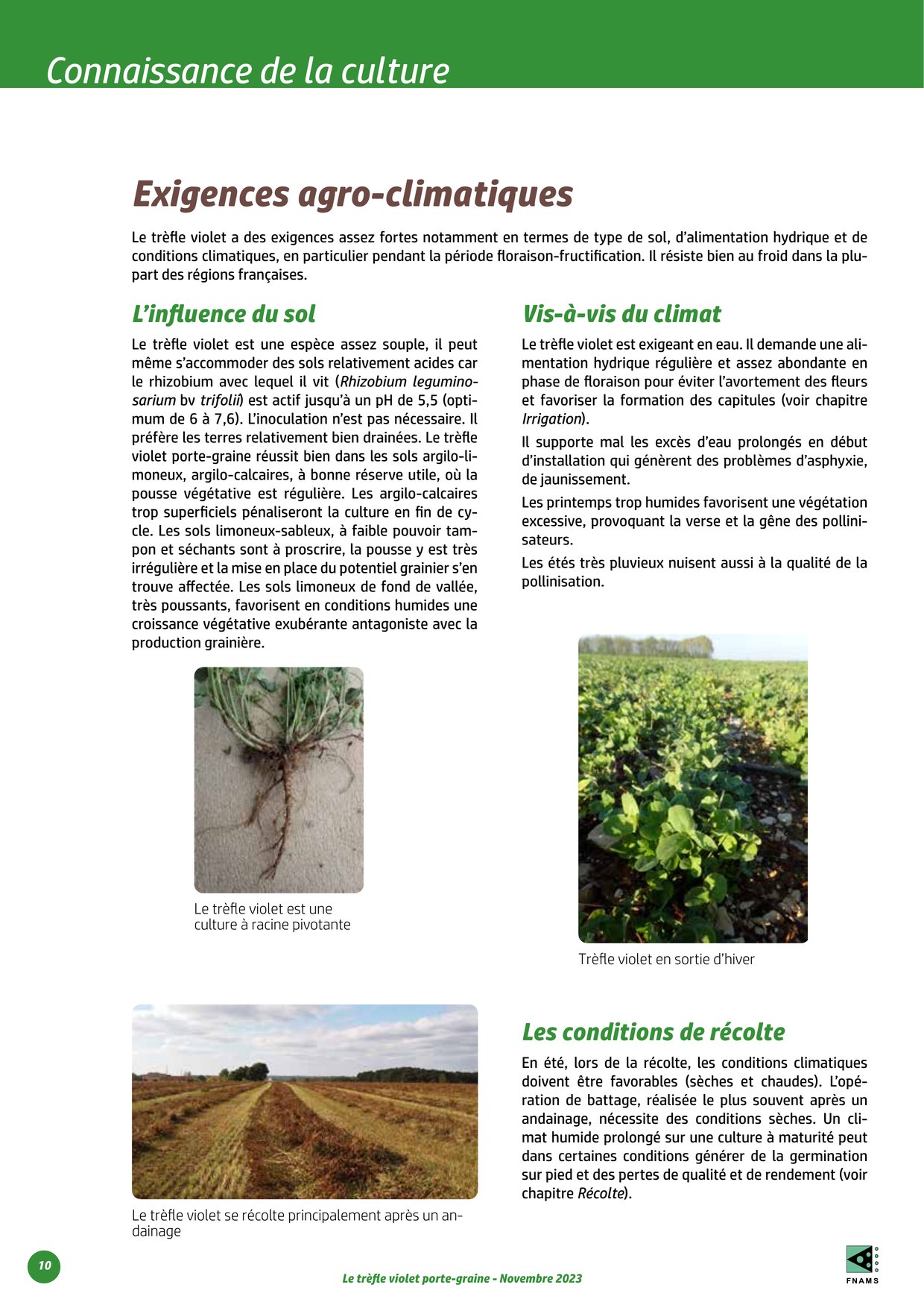 PDF page 10