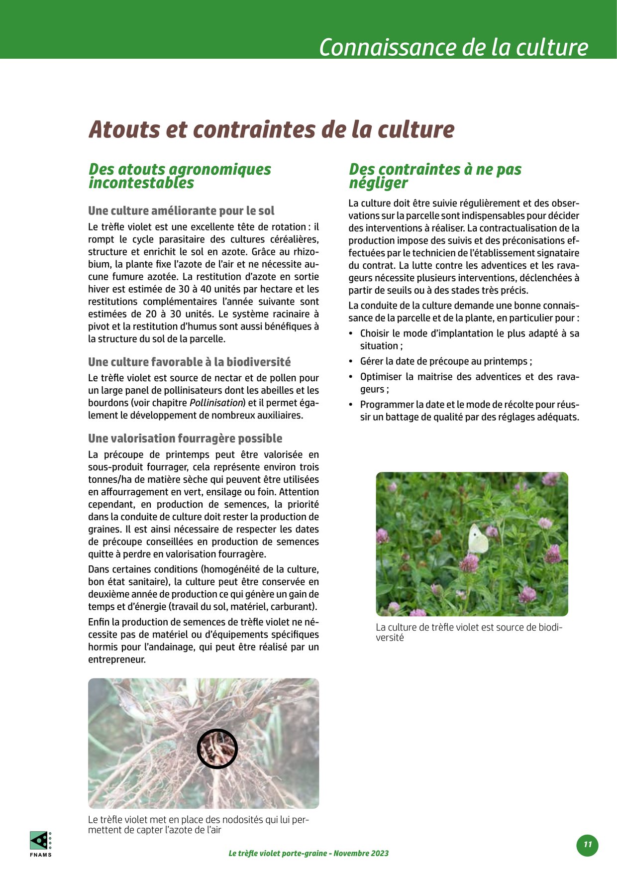 PDF page 11