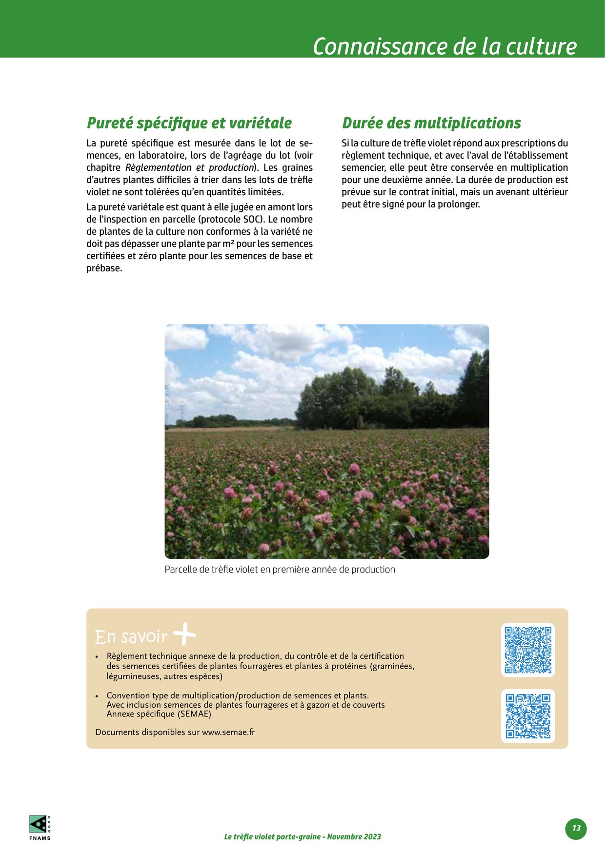 PDF page 13