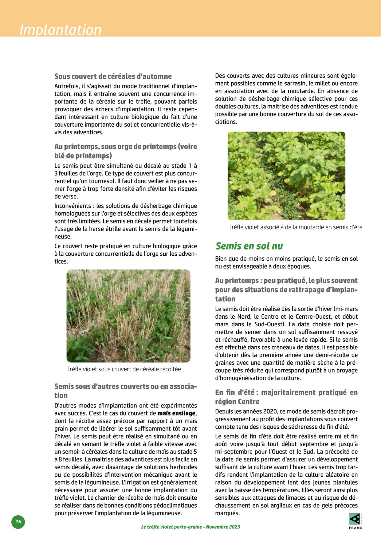 PDF page 16