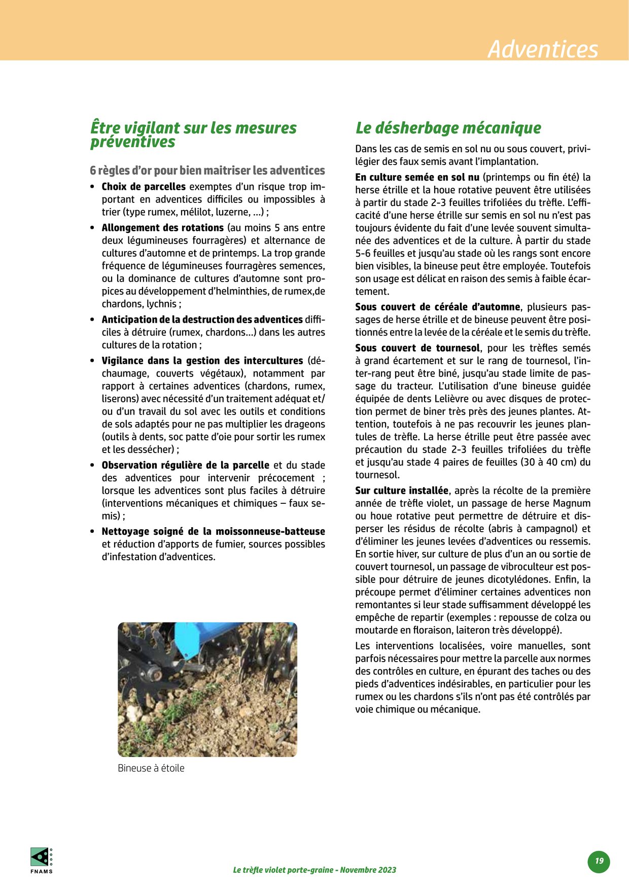 PDF page 19