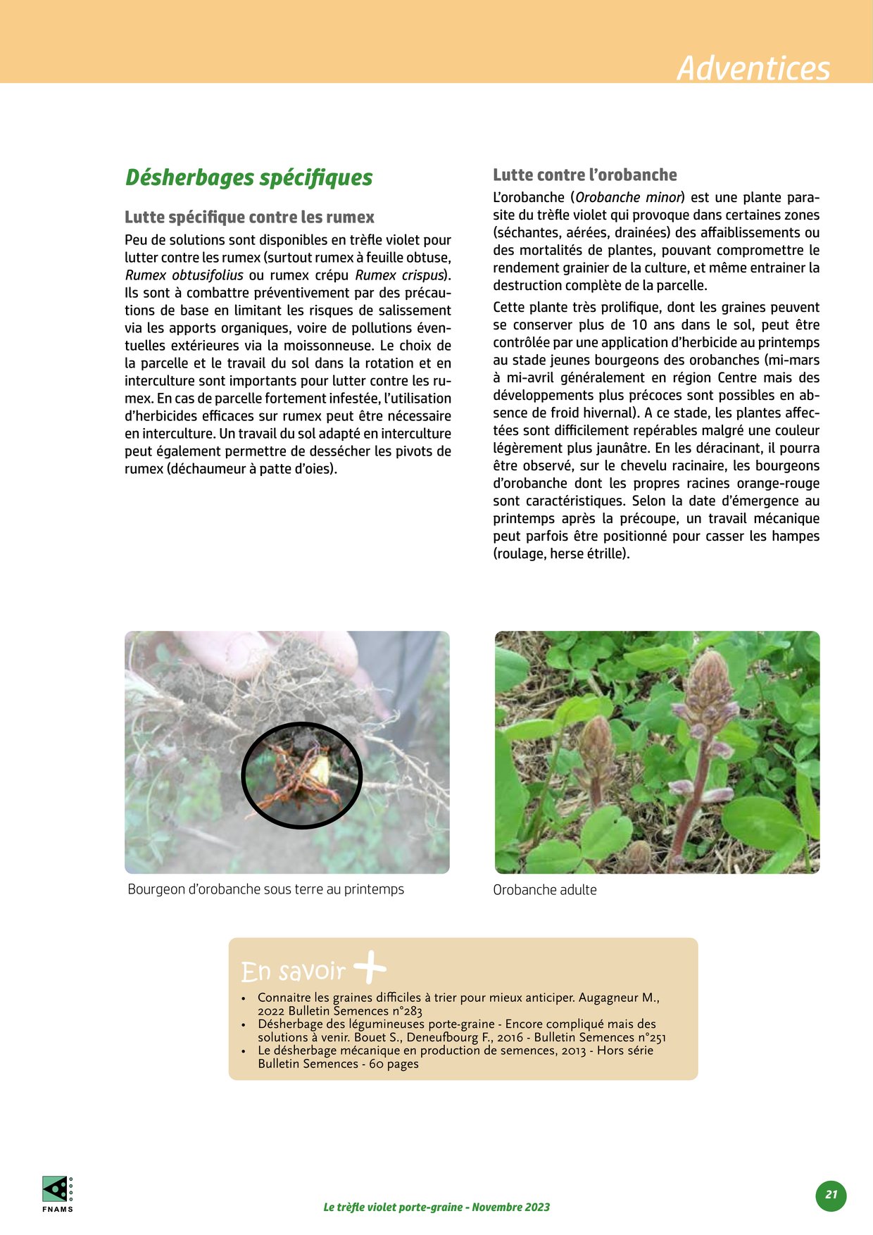 PDF page 21