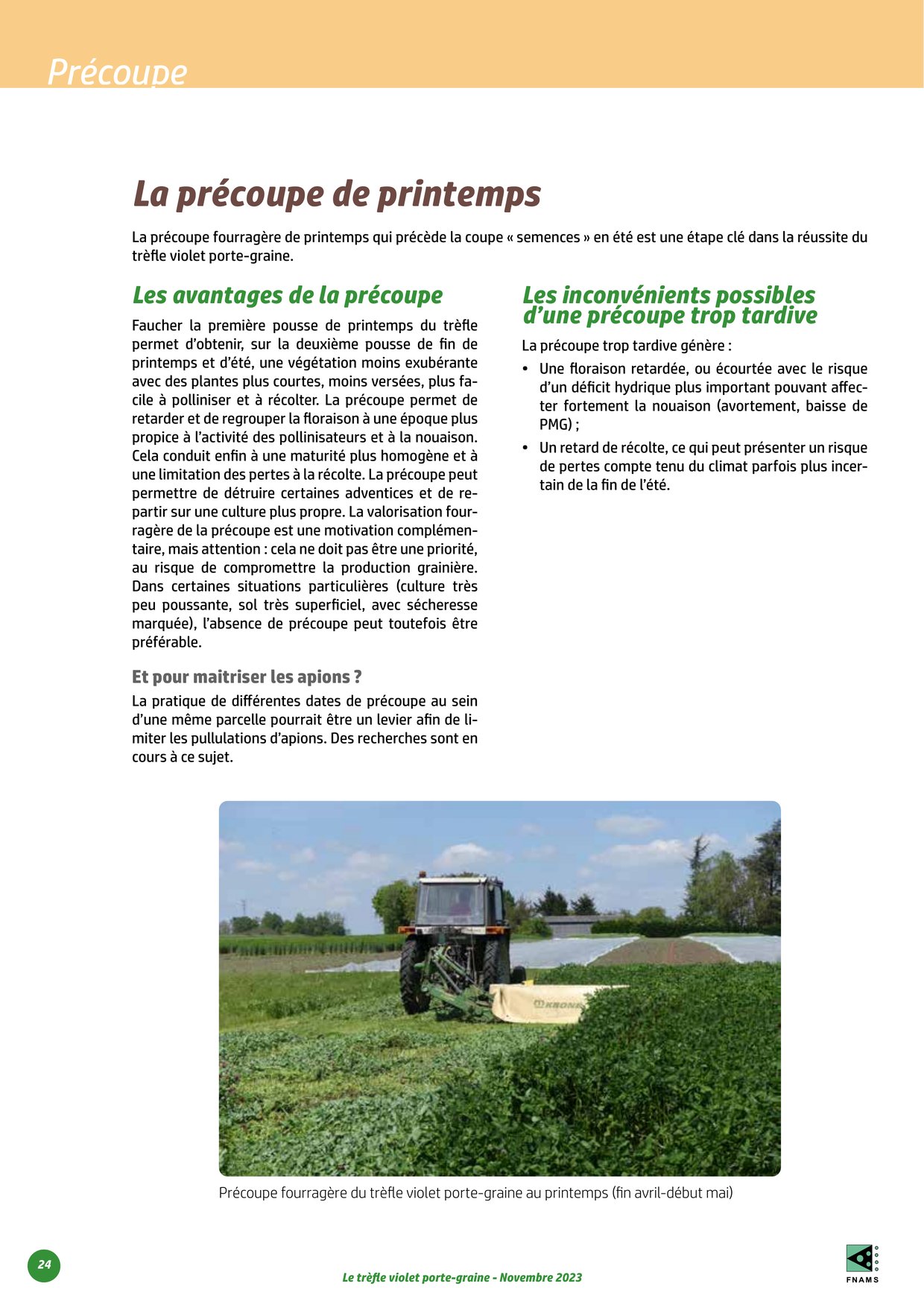 PDF page 24