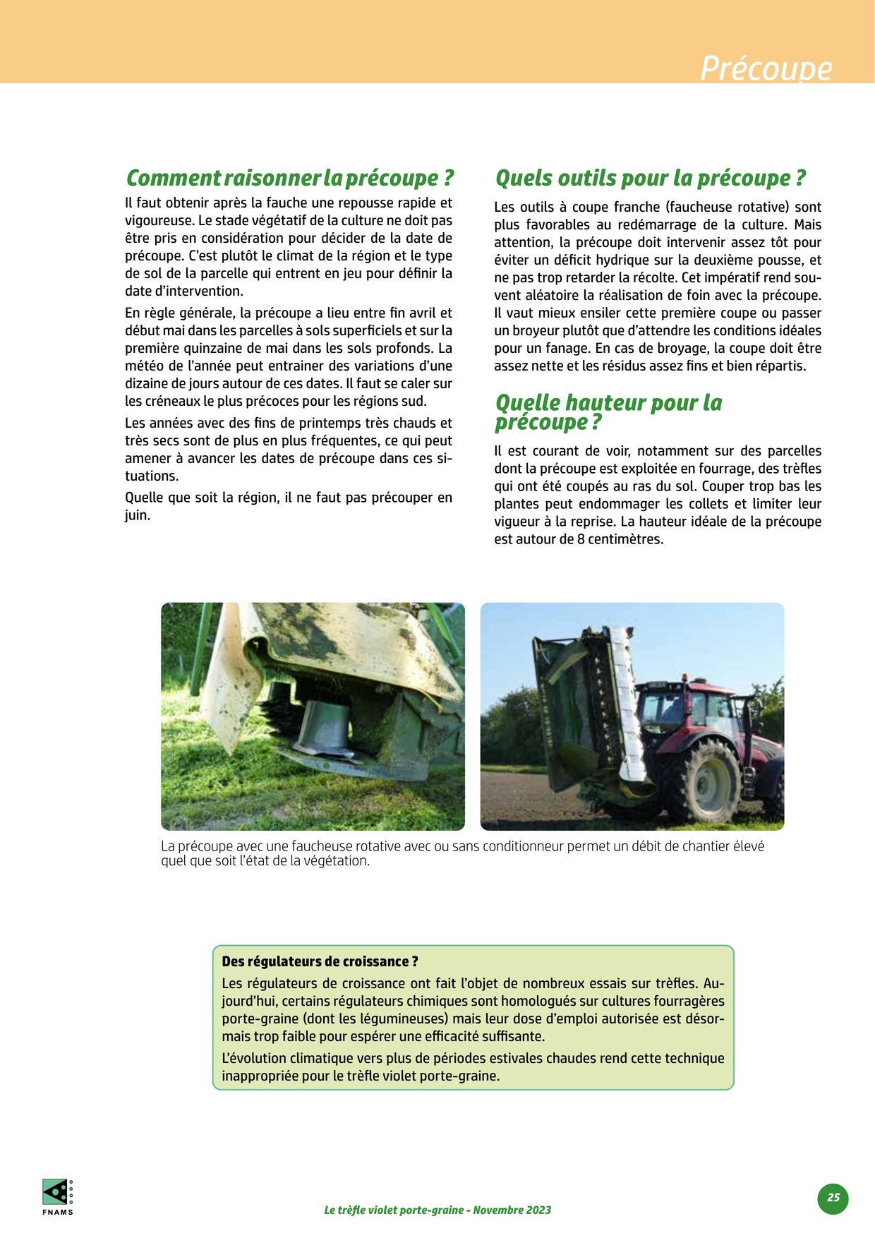PDF page 25
